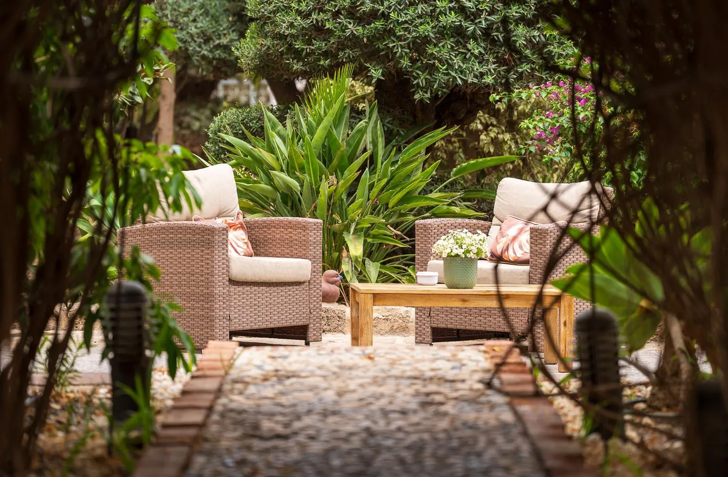 Patio in Hotel Plaza Del Castillo