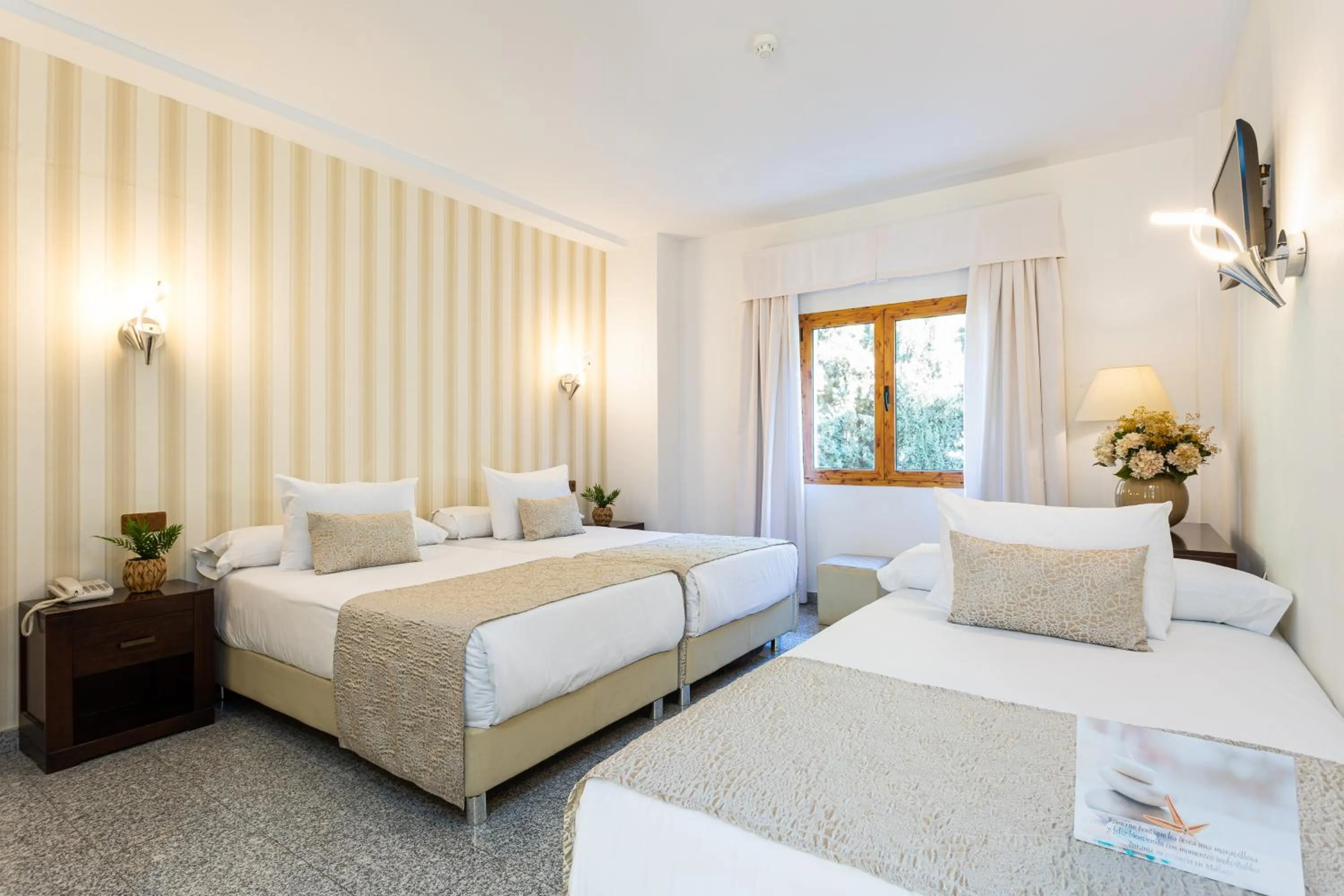 Photo of the whole room, Bed in Hotel Plaza Del Castillo