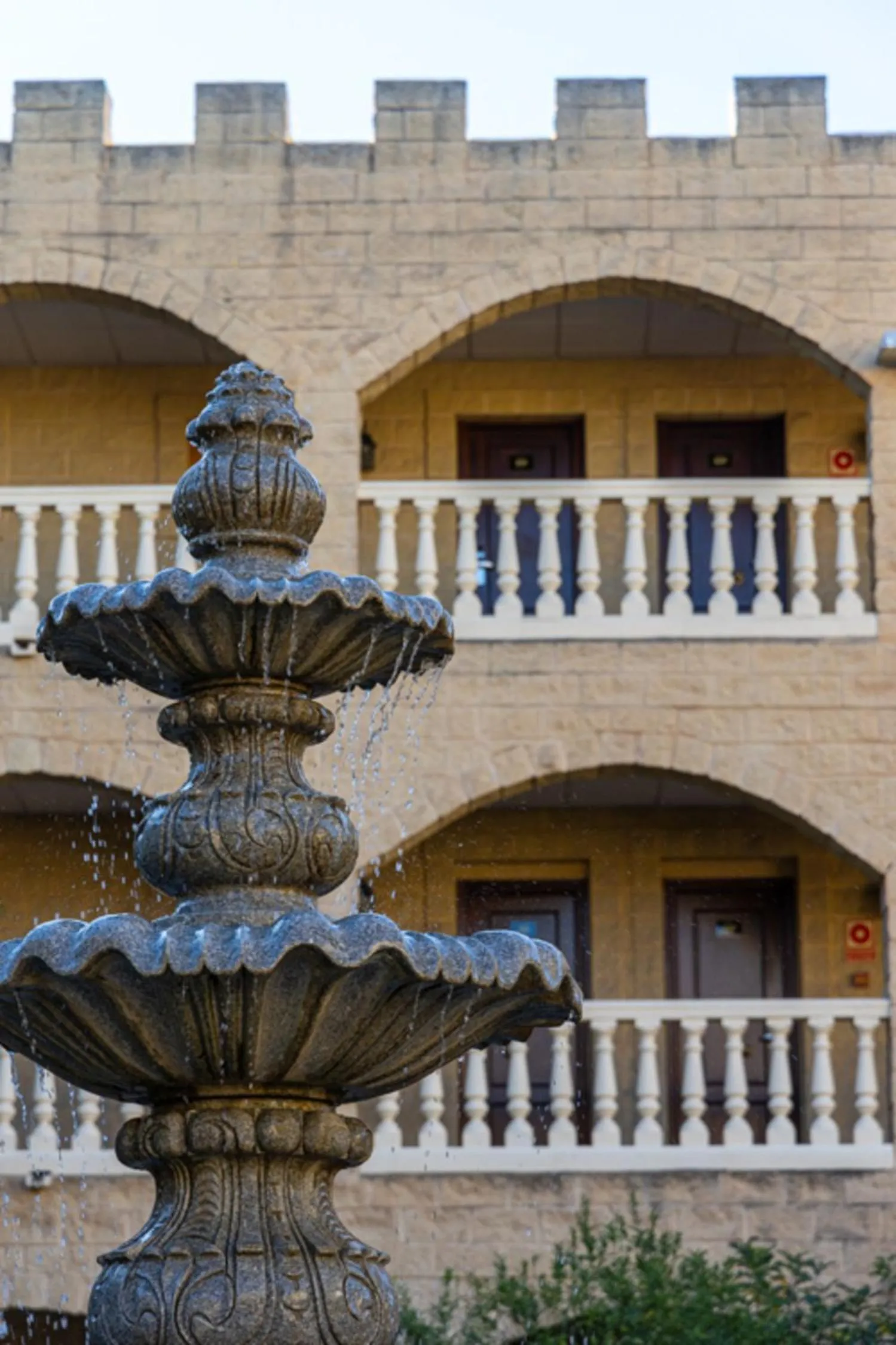 Garden in Hotel Plaza Del Castillo