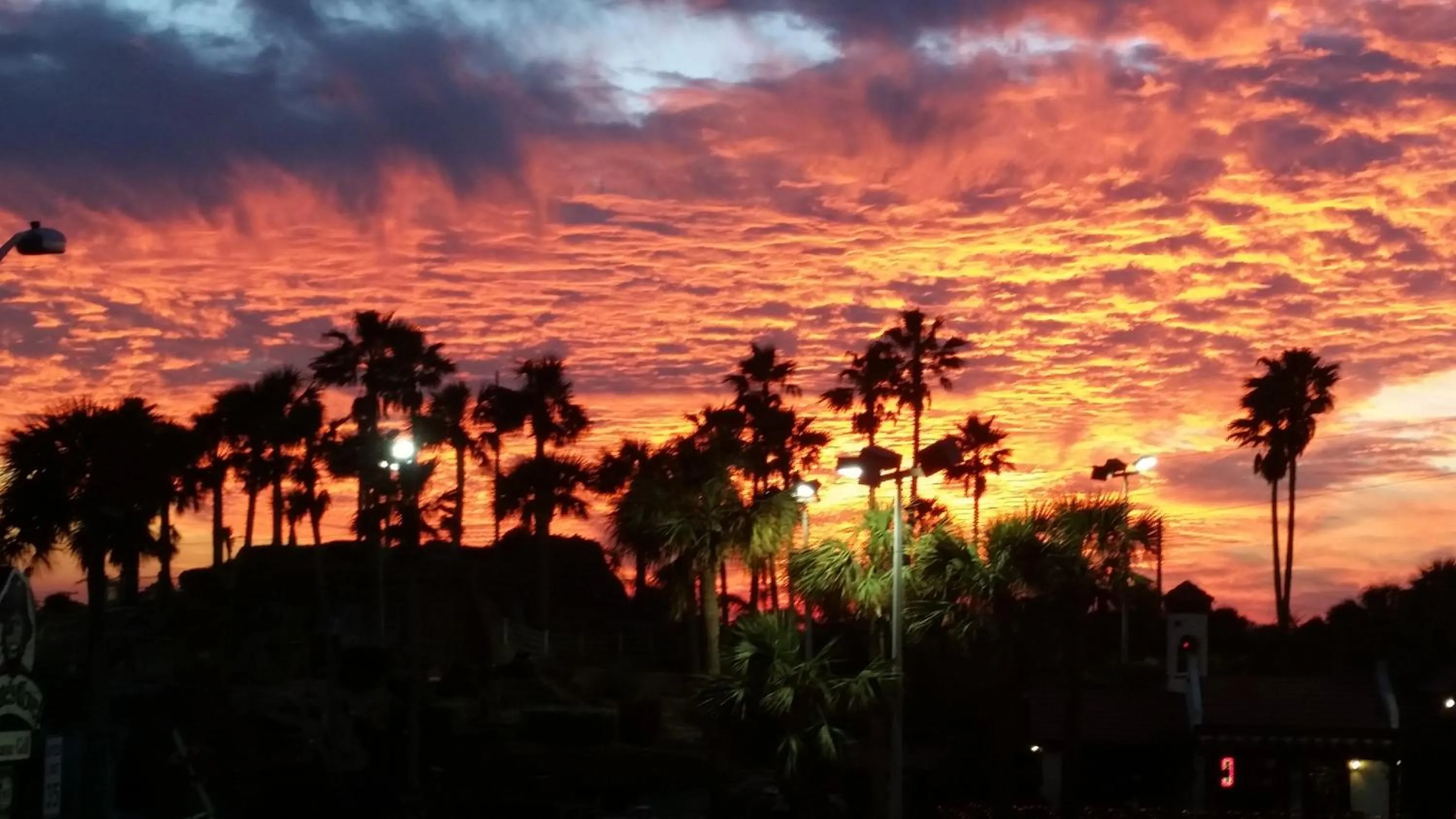 Natural landscape in Driftwood Beach Motel