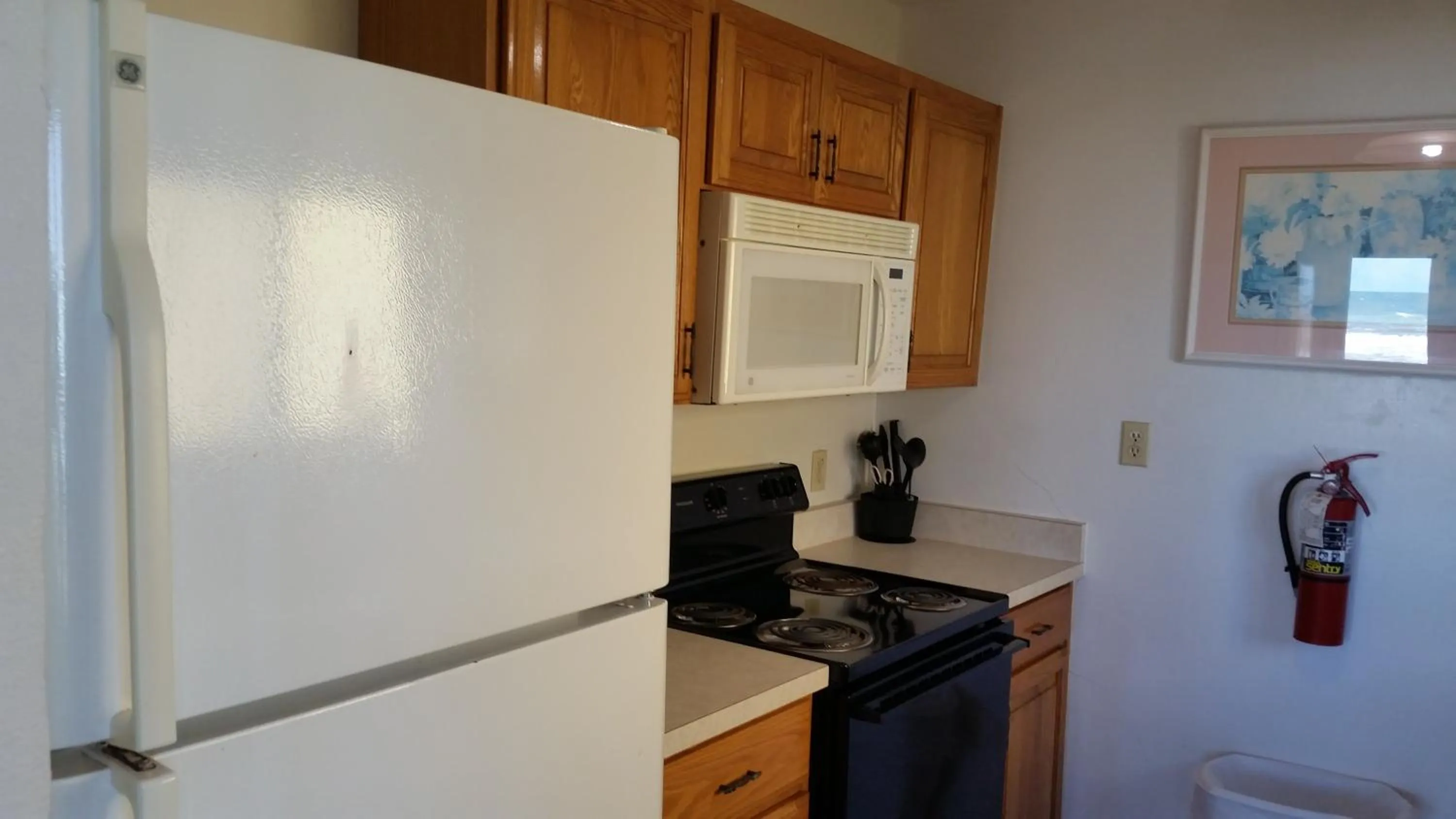 Kitchen or kitchenette in Driftwood Beach Motel