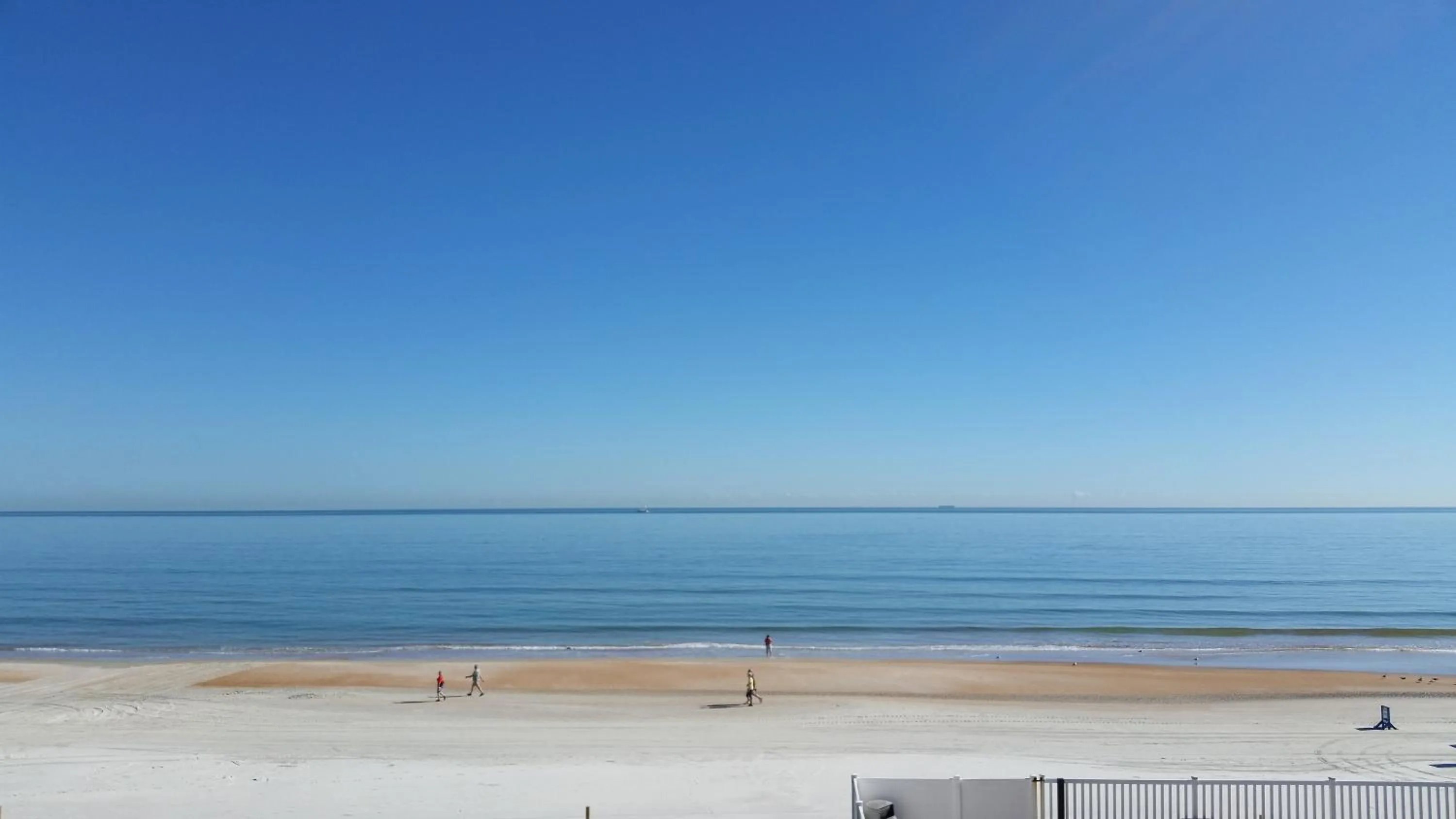Natural landscape in Driftwood Beach Motel