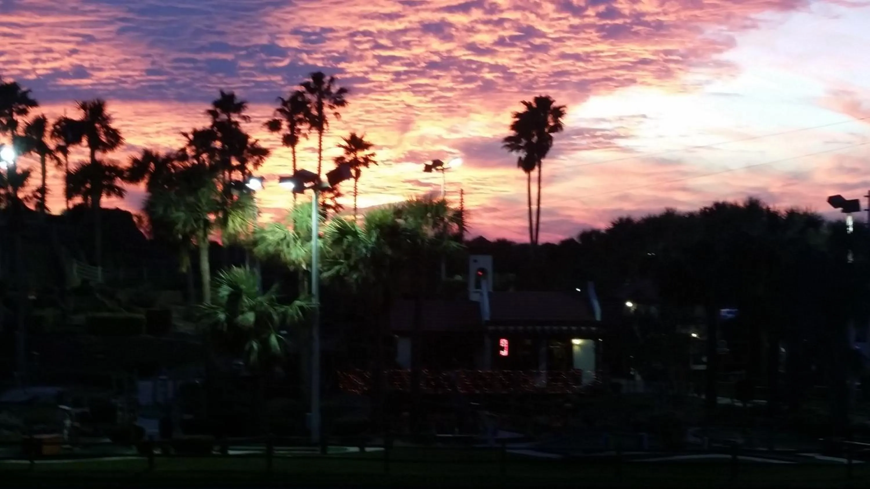 Natural landscape in Driftwood Beach Motel