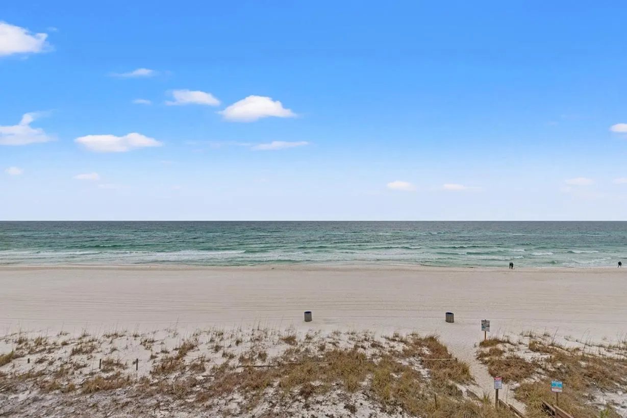 Beach in The Reef At Seahaven Beach Resorts