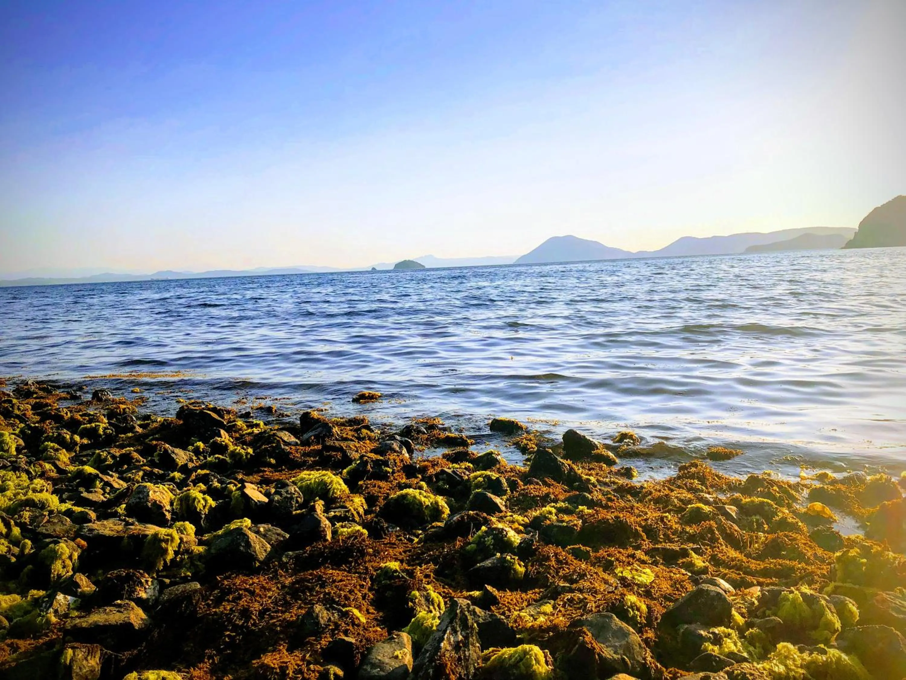 Natural landscape in villa chillon