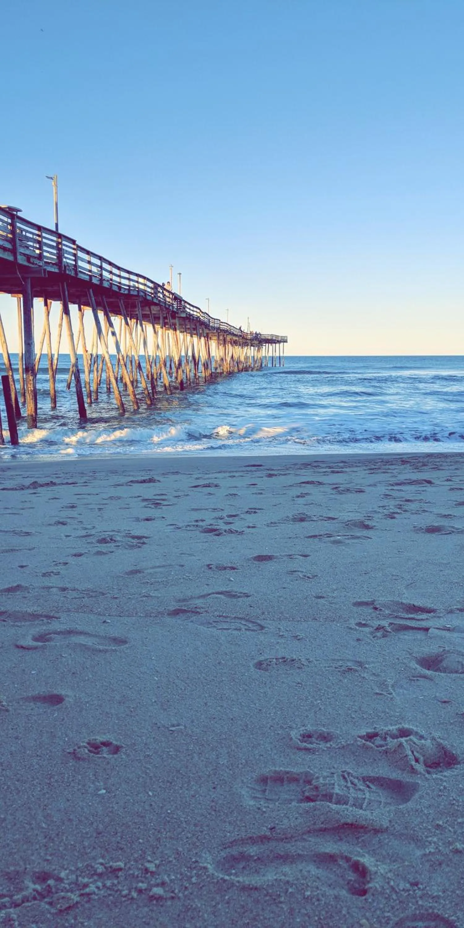 Natural landscape in Driftin Sands Motel