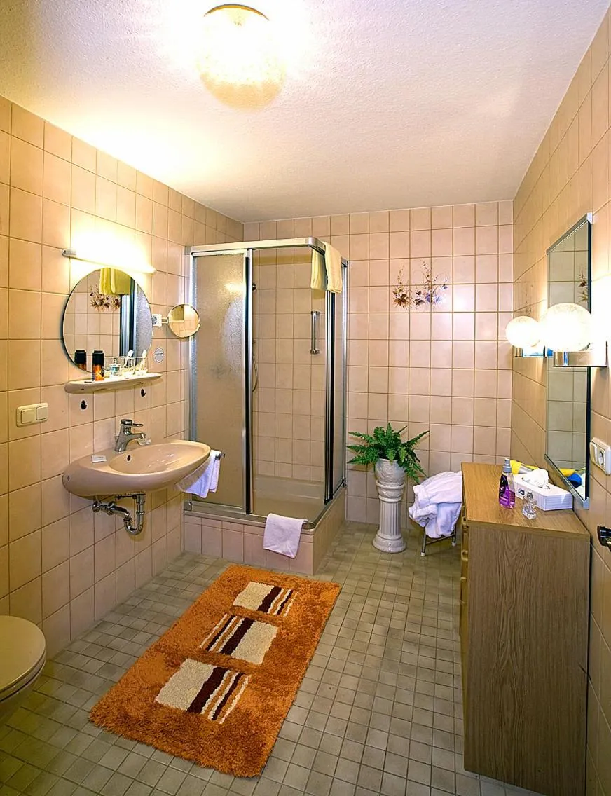 Shower in Hotel Seemüller