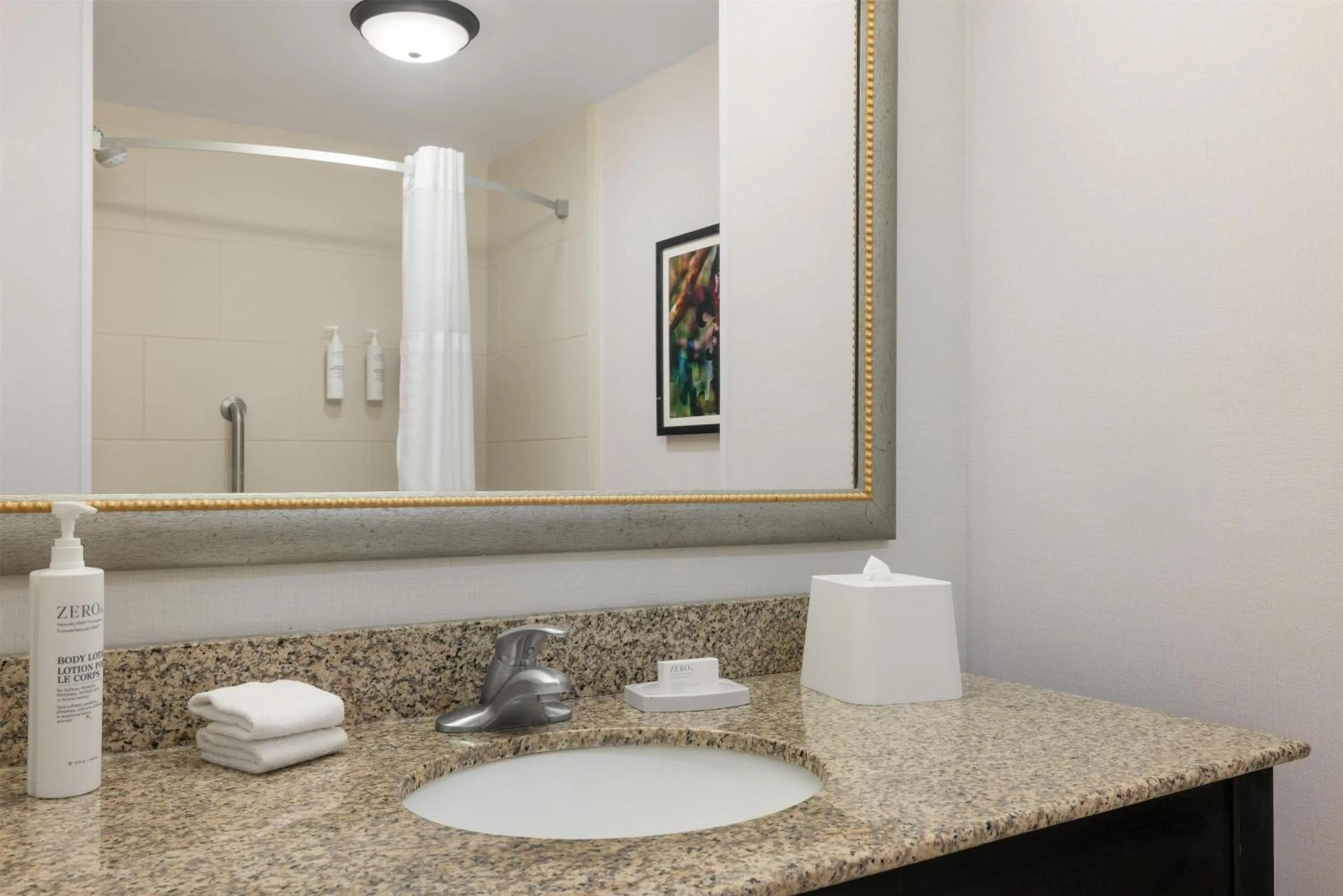 Bathroom in Hampton Inn & Suites Baton Rouge Downtown