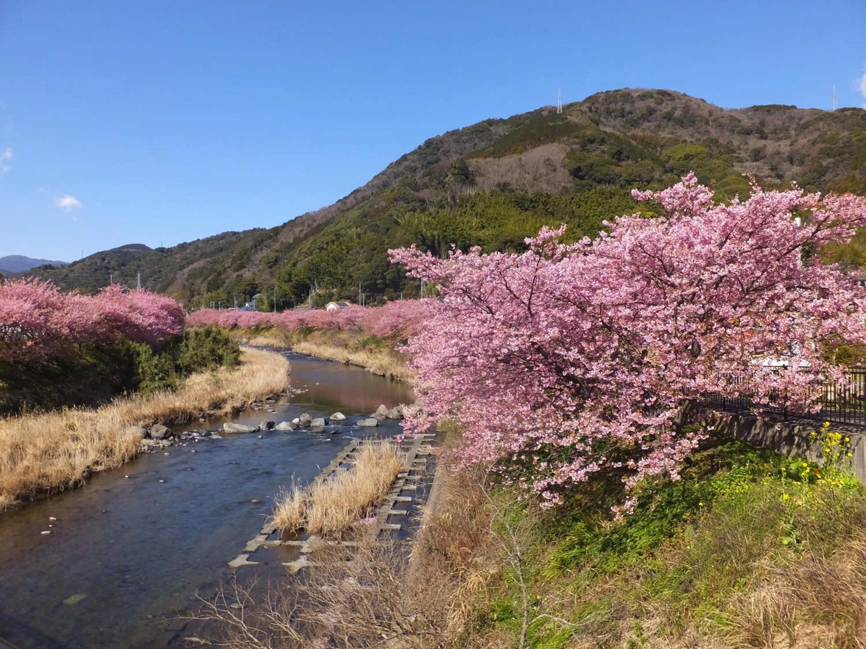 Other in Ito Kowakien