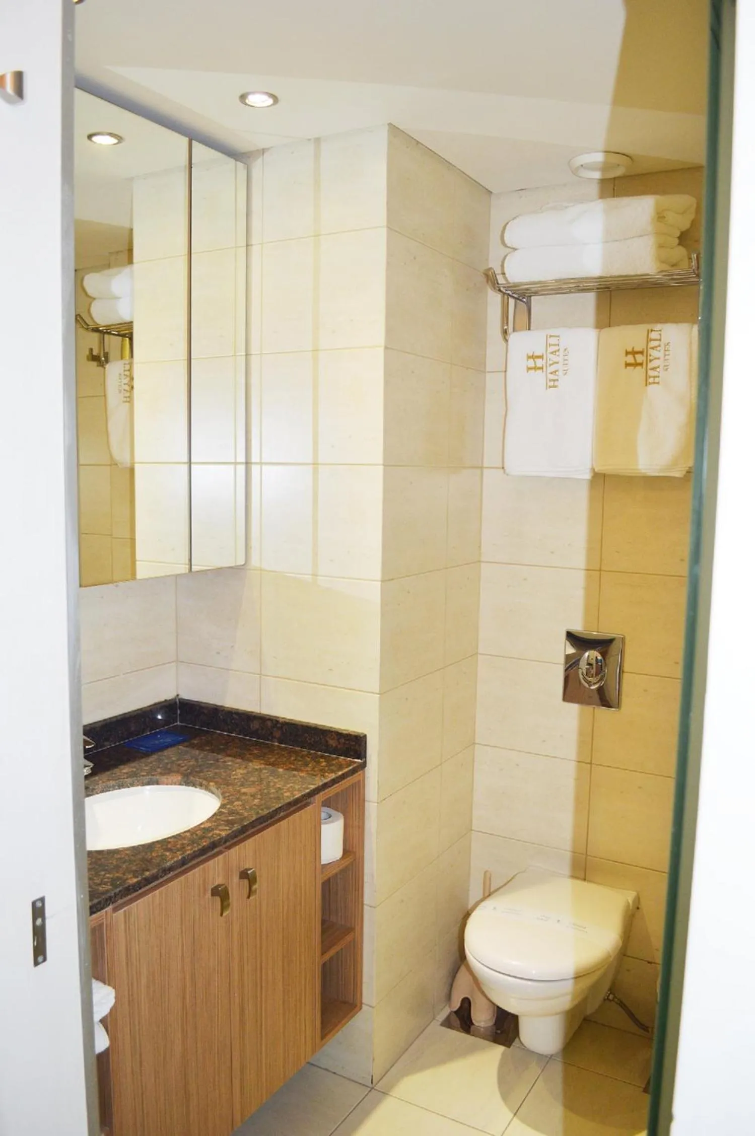 Toilet in Hayali Suites