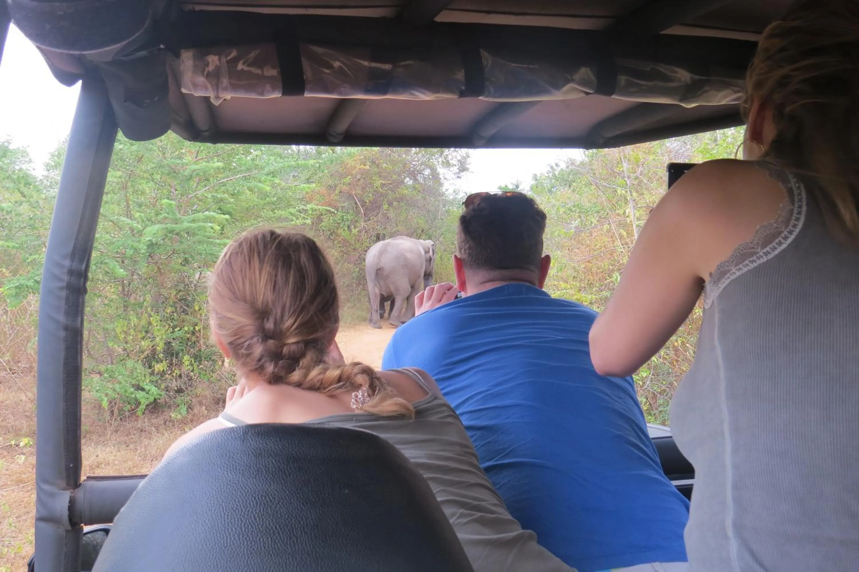 Activities in Big Game Yala - by Eco Team