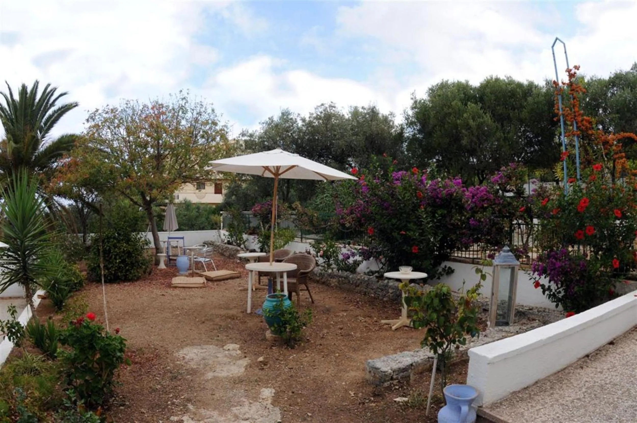 Garden in Akrotiri Hotel