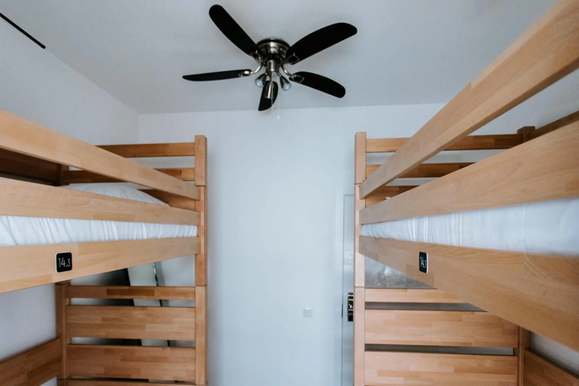 bunk bed, Bed in DREAMS HOUSE
