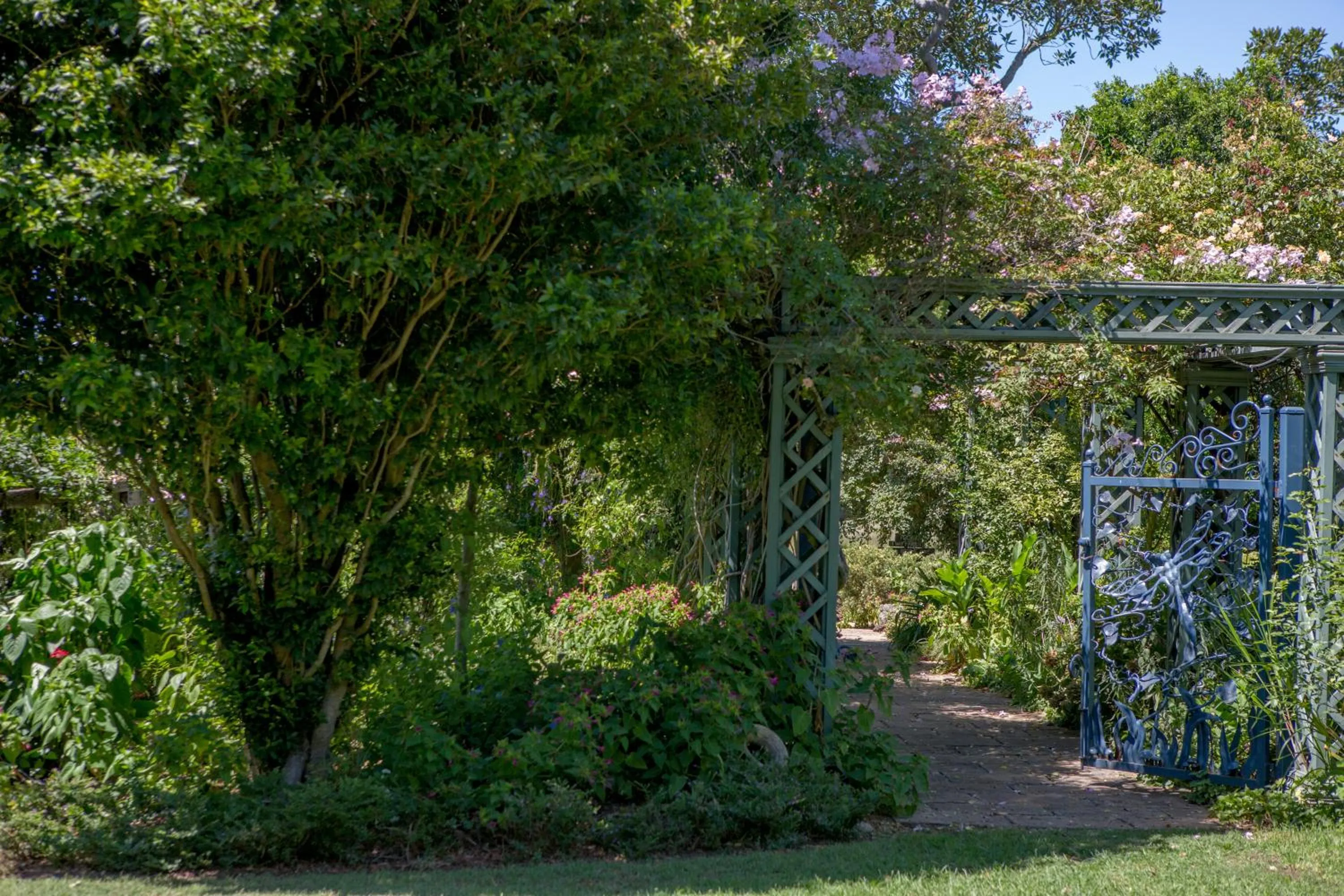 Garden in Maddies of Bolwarra