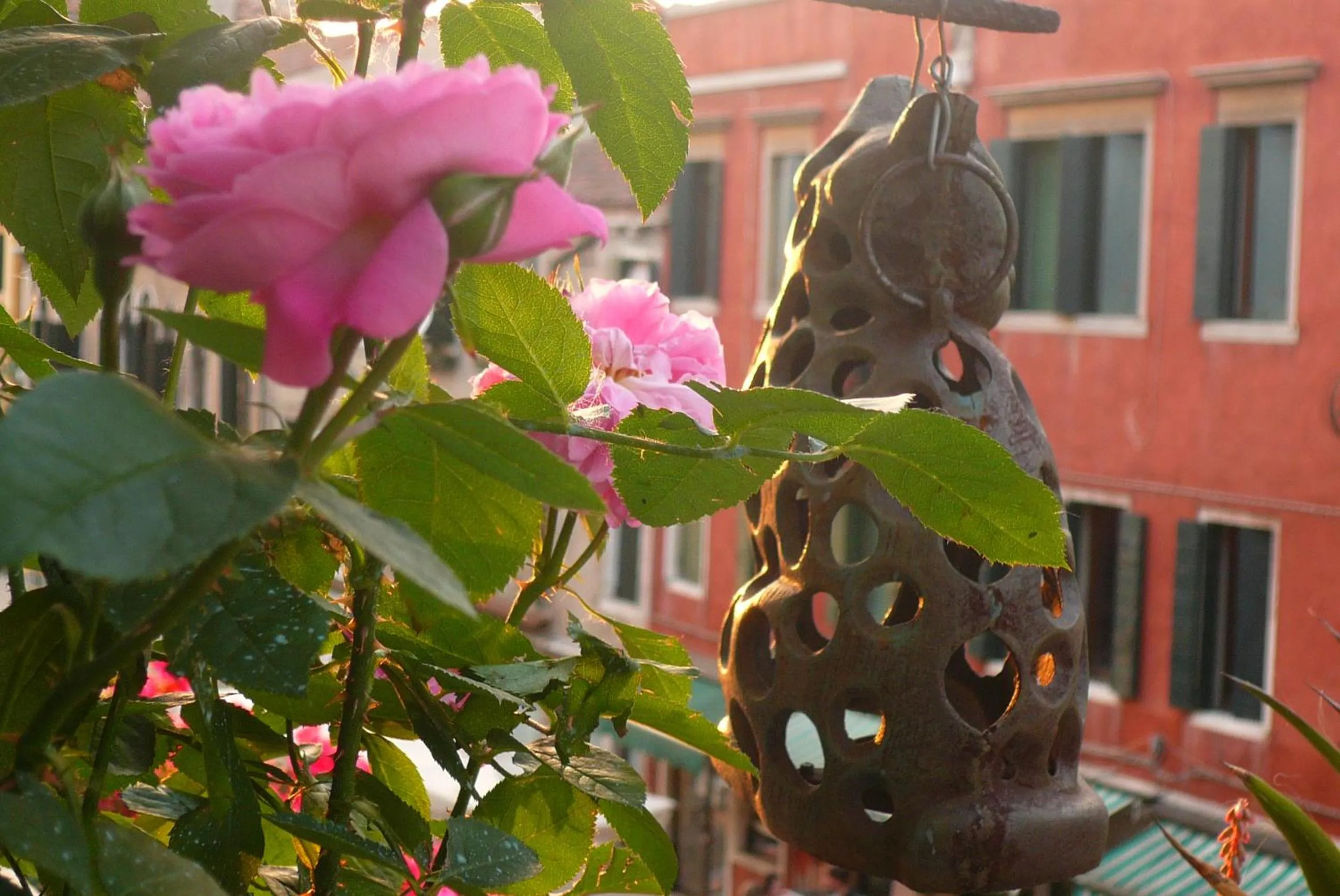 Other in Hotel At Leonard