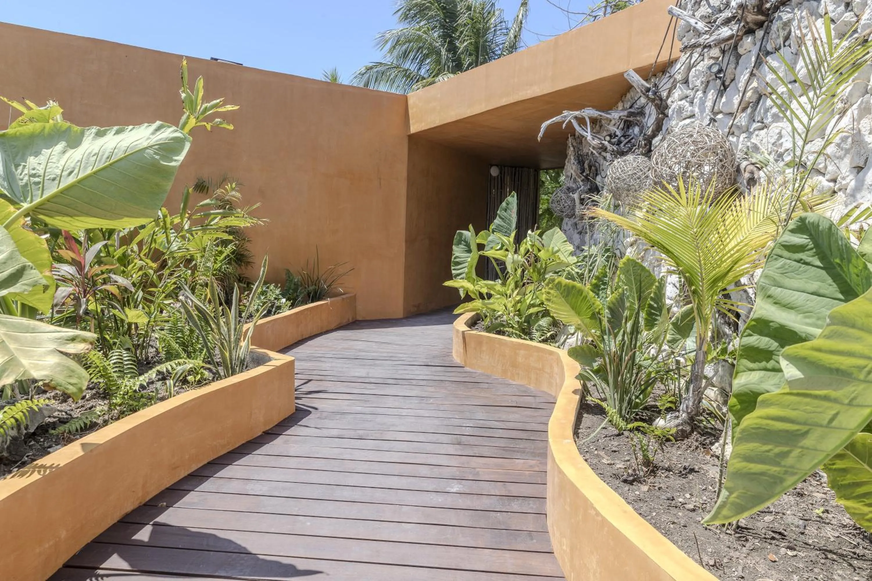 Garden view in Mayan Monkey Isla Mujeres - Social Hotel