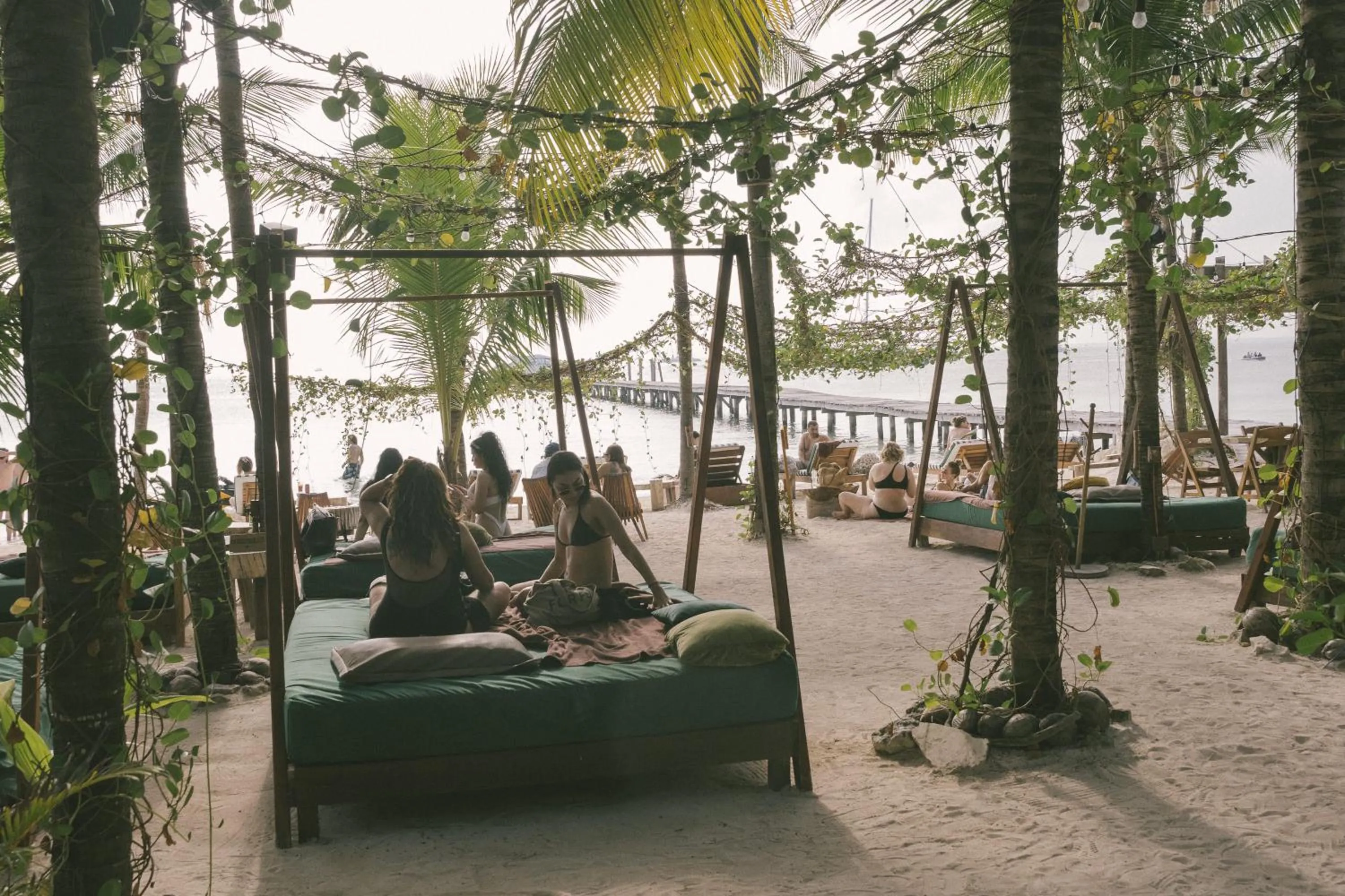 Natural landscape in Mayan Monkey Isla Mujeres - Social Hotel