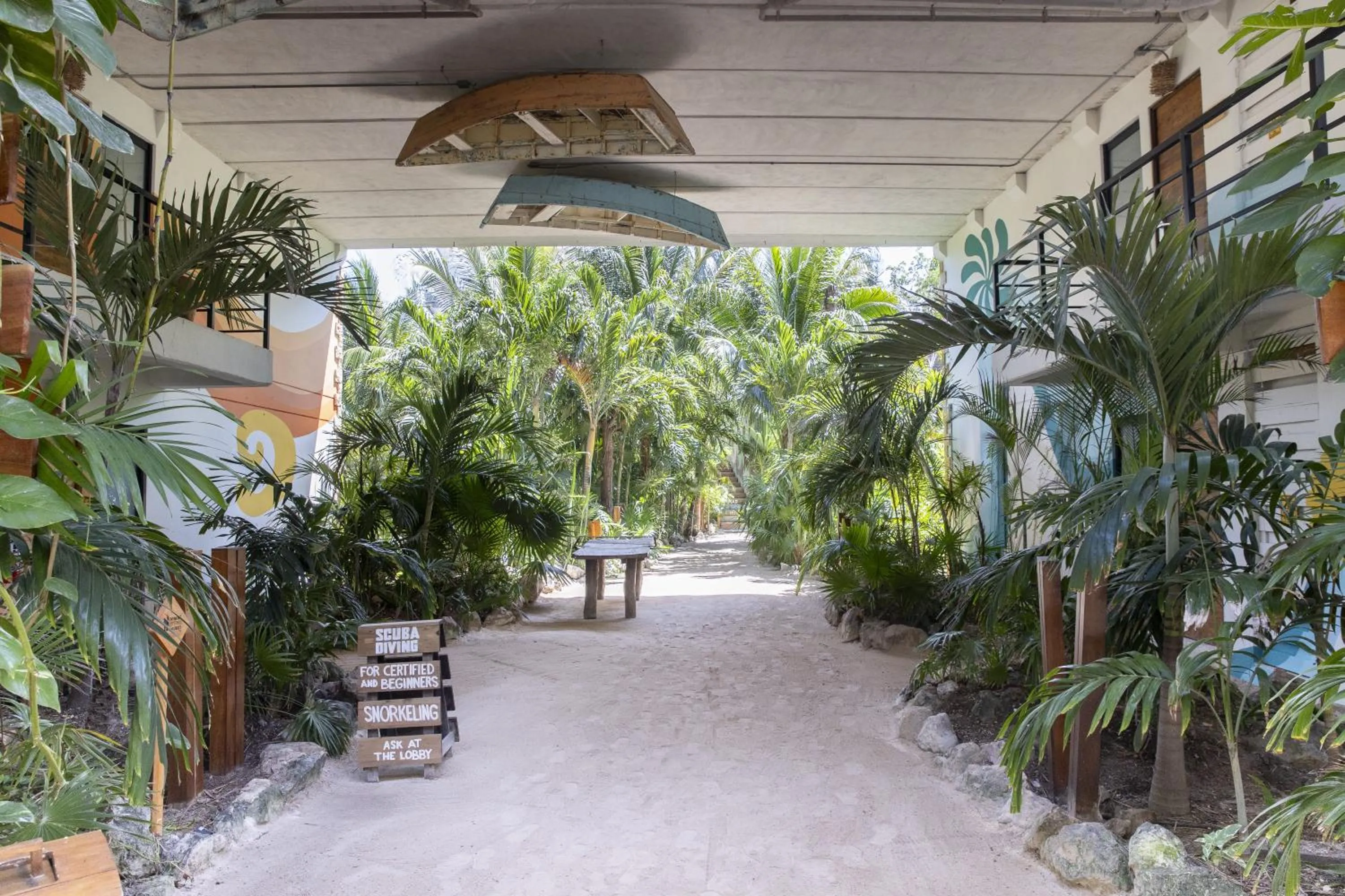 Garden in Mayan Monkey Isla Mujeres - Social Hotel
