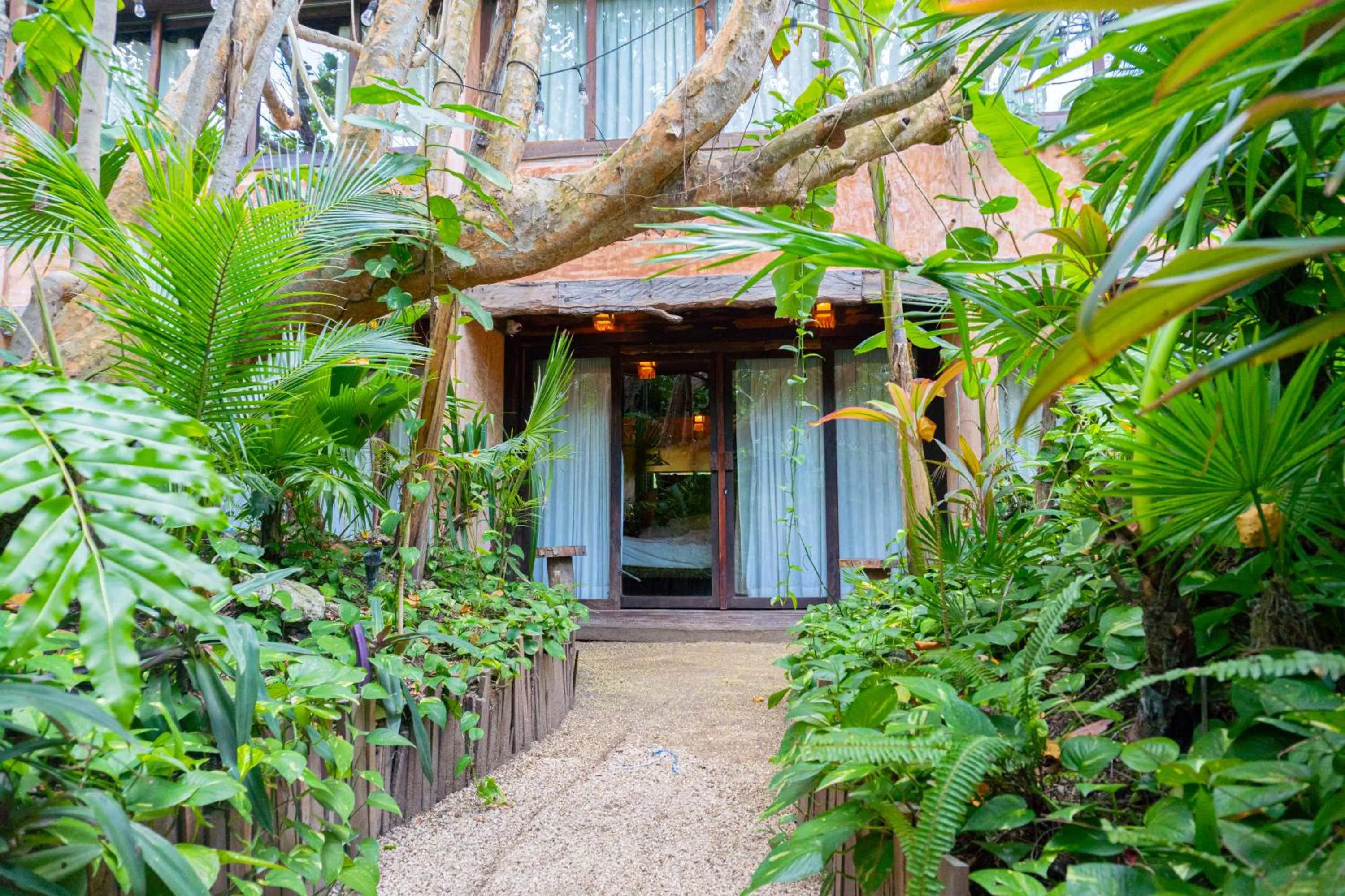 Property building in Mayan Monkey Isla Mujeres - Social Hotel