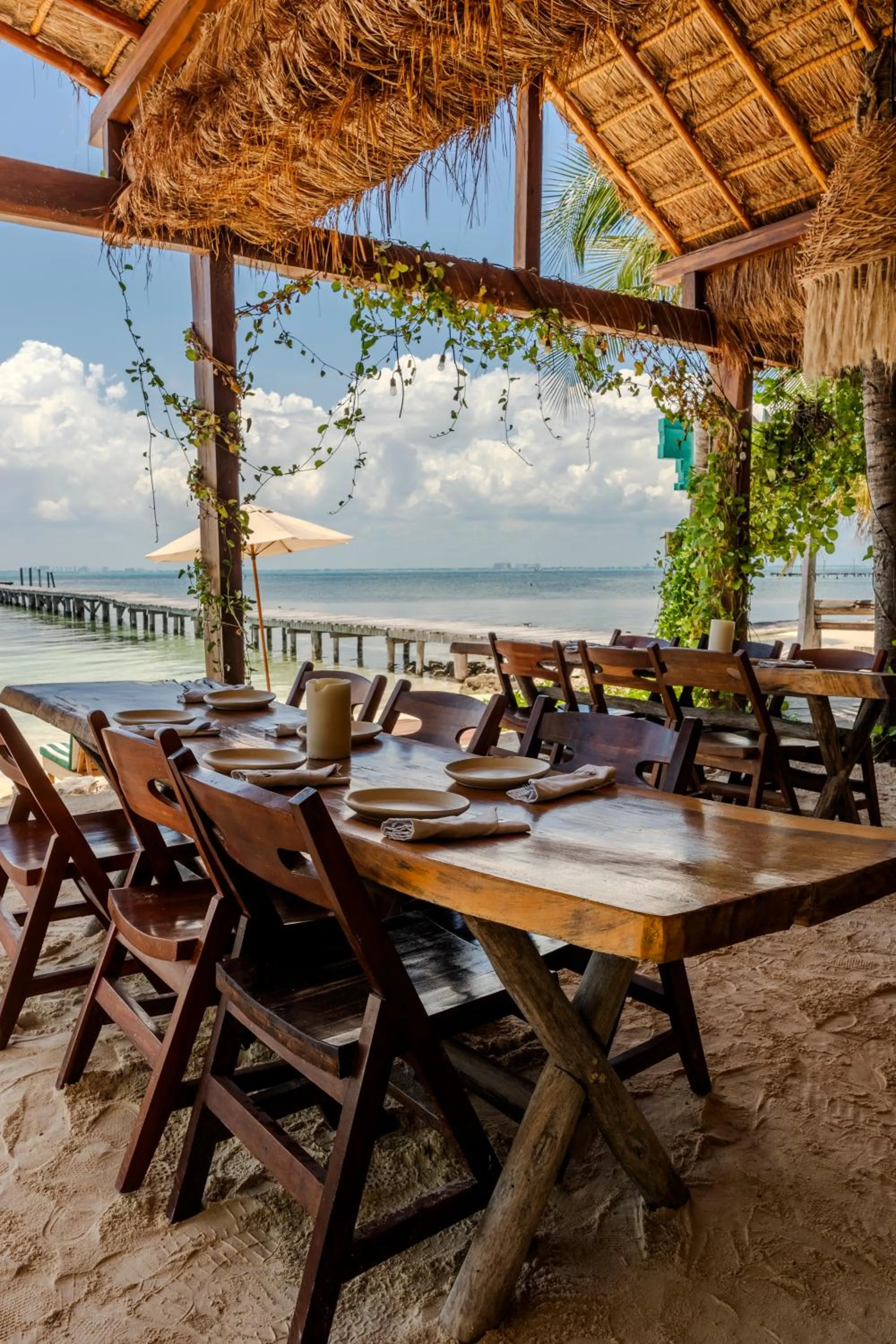 Restaurant/places to eat in Mayan Monkey Isla Mujeres - Social Hotel