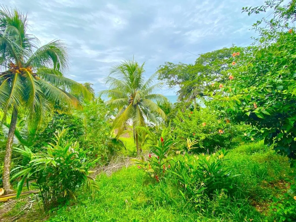 Natural landscape in Bird Island Bungalows