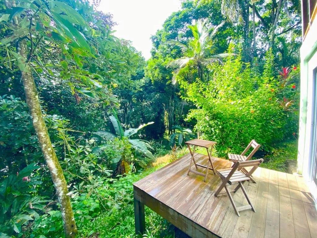 Patio in Bird Island Bungalows