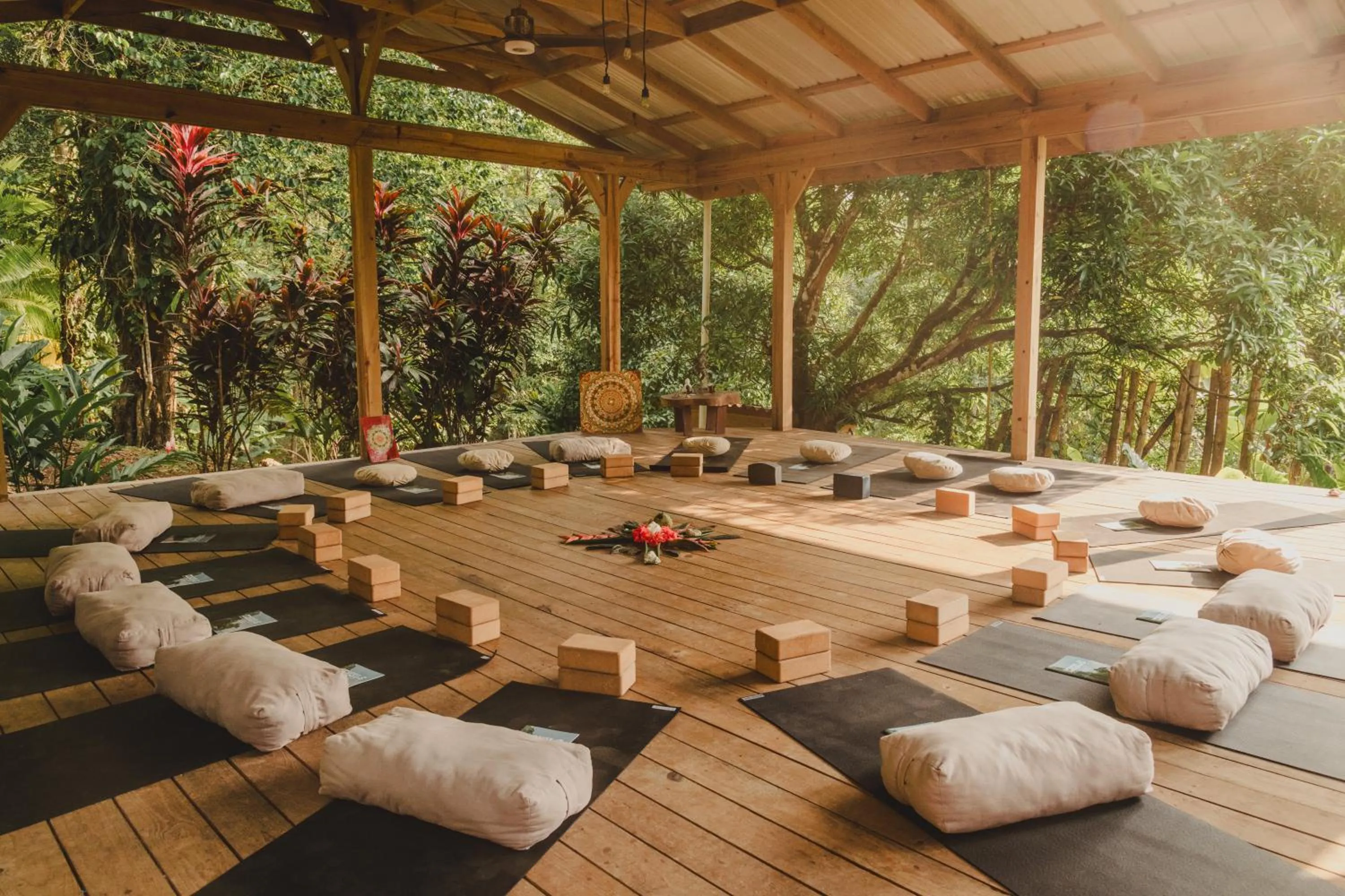 Natural landscape in Bird Island Bungalows