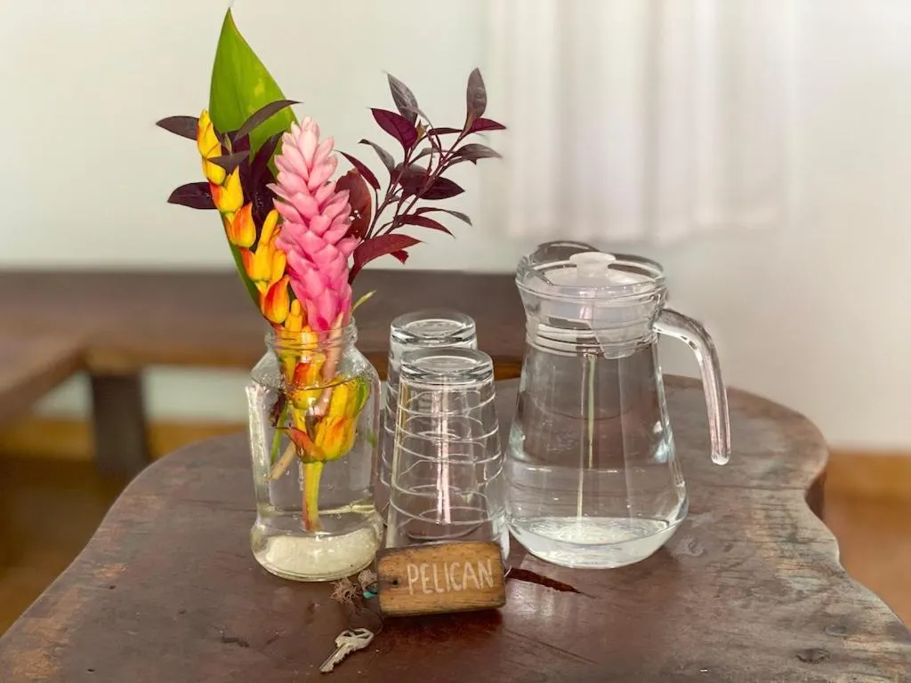 Drinks in Bird Island Bungalows