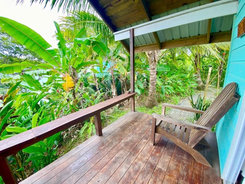 View (from property/room) in Bird Island Bungalows