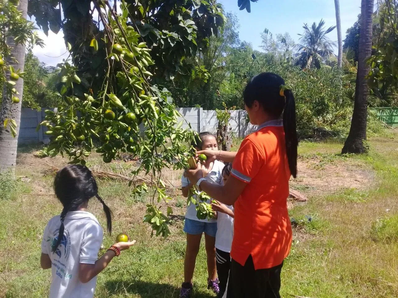 View (from property/room) in Buana Ecofarm Ecolodge