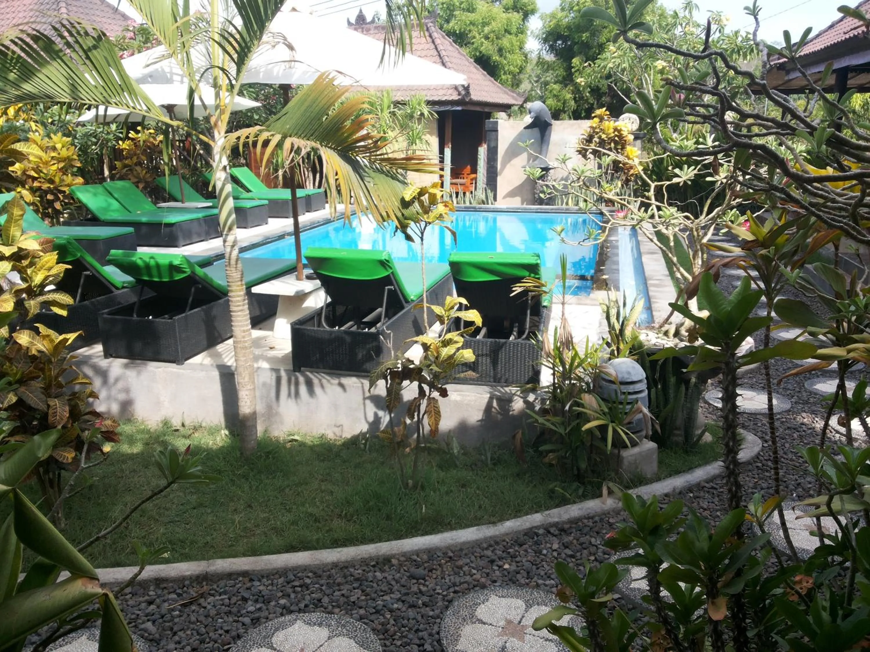 Pool view in Cassava Bungalow