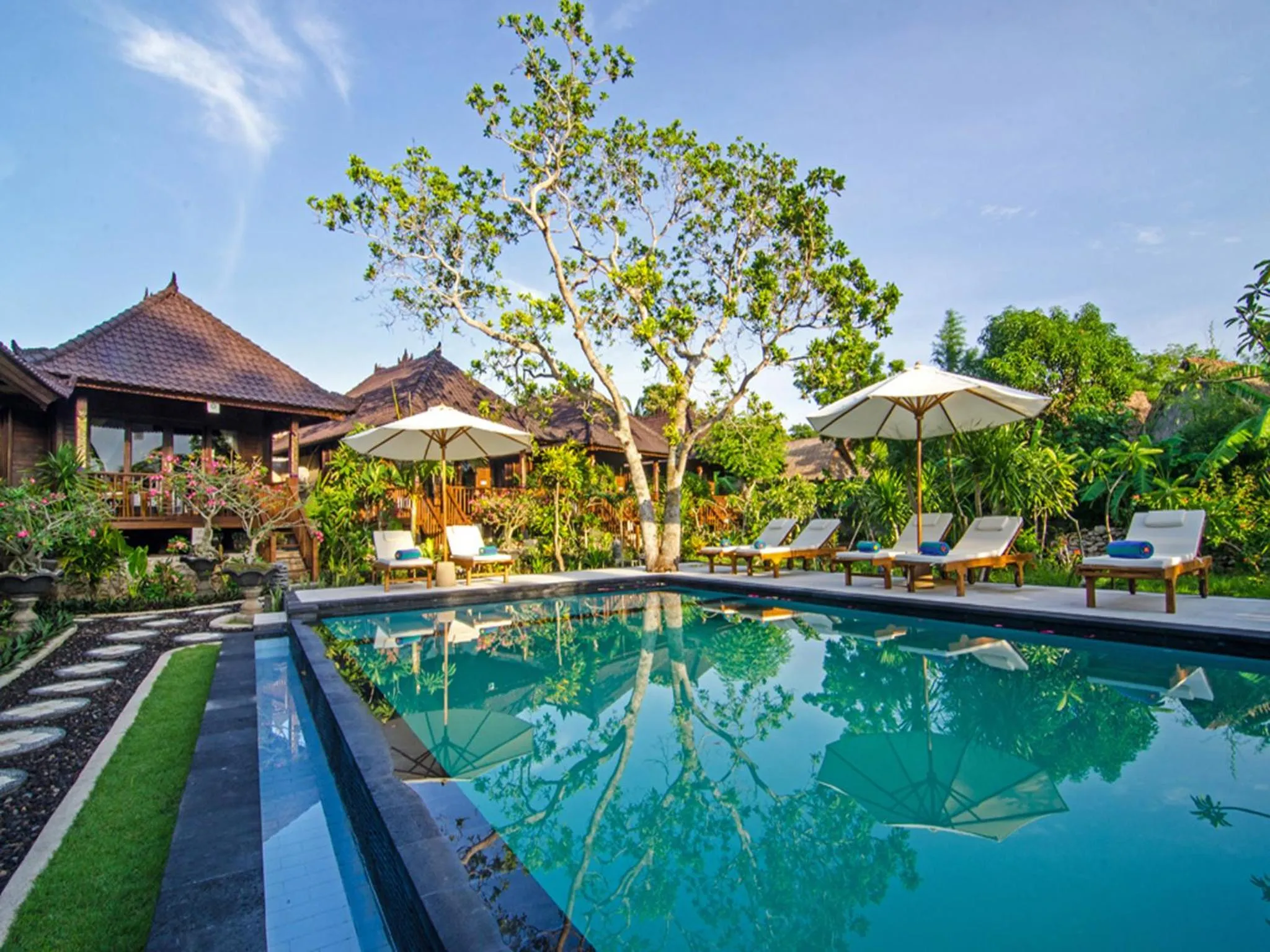Swimming pool in Cassava Bungalow