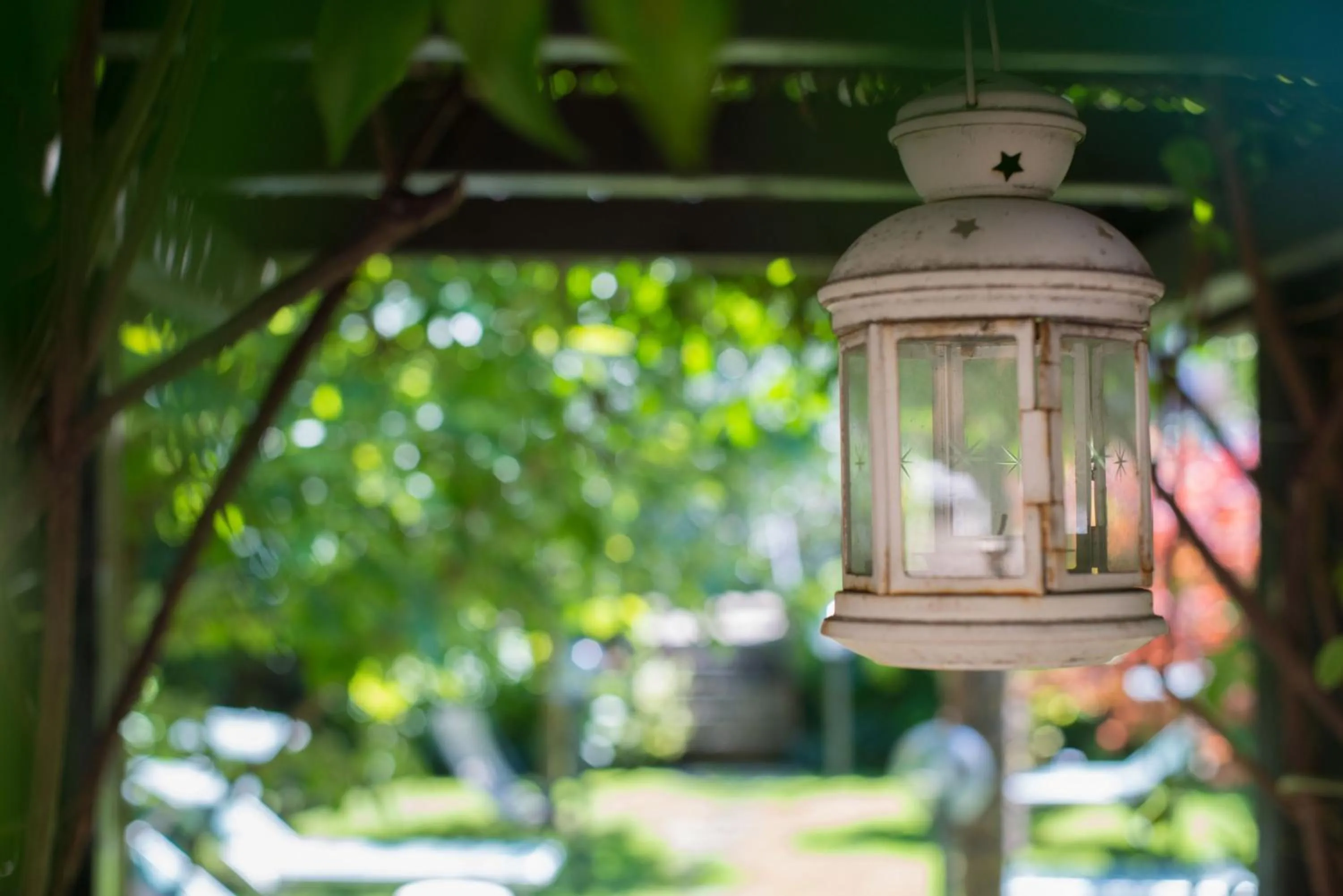 Garden in Hotel Erika
