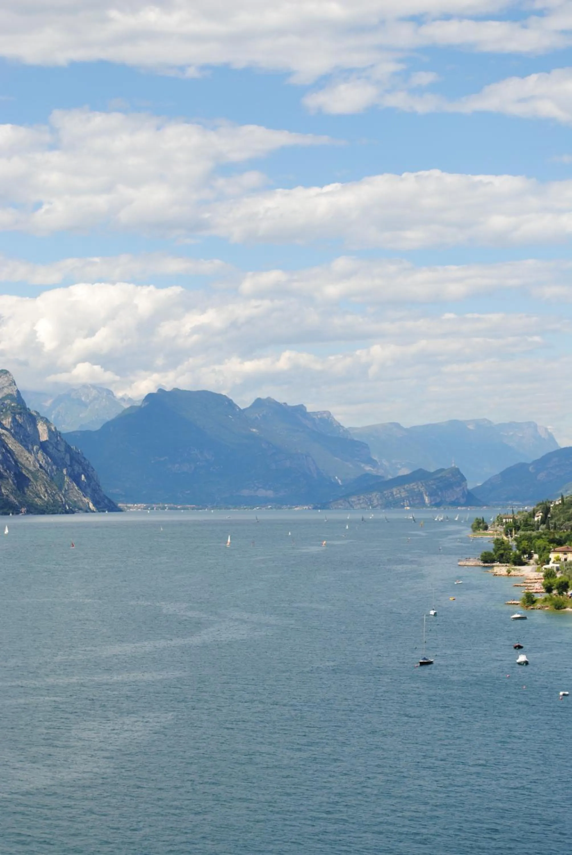 Area and facilities in Hotel Erika