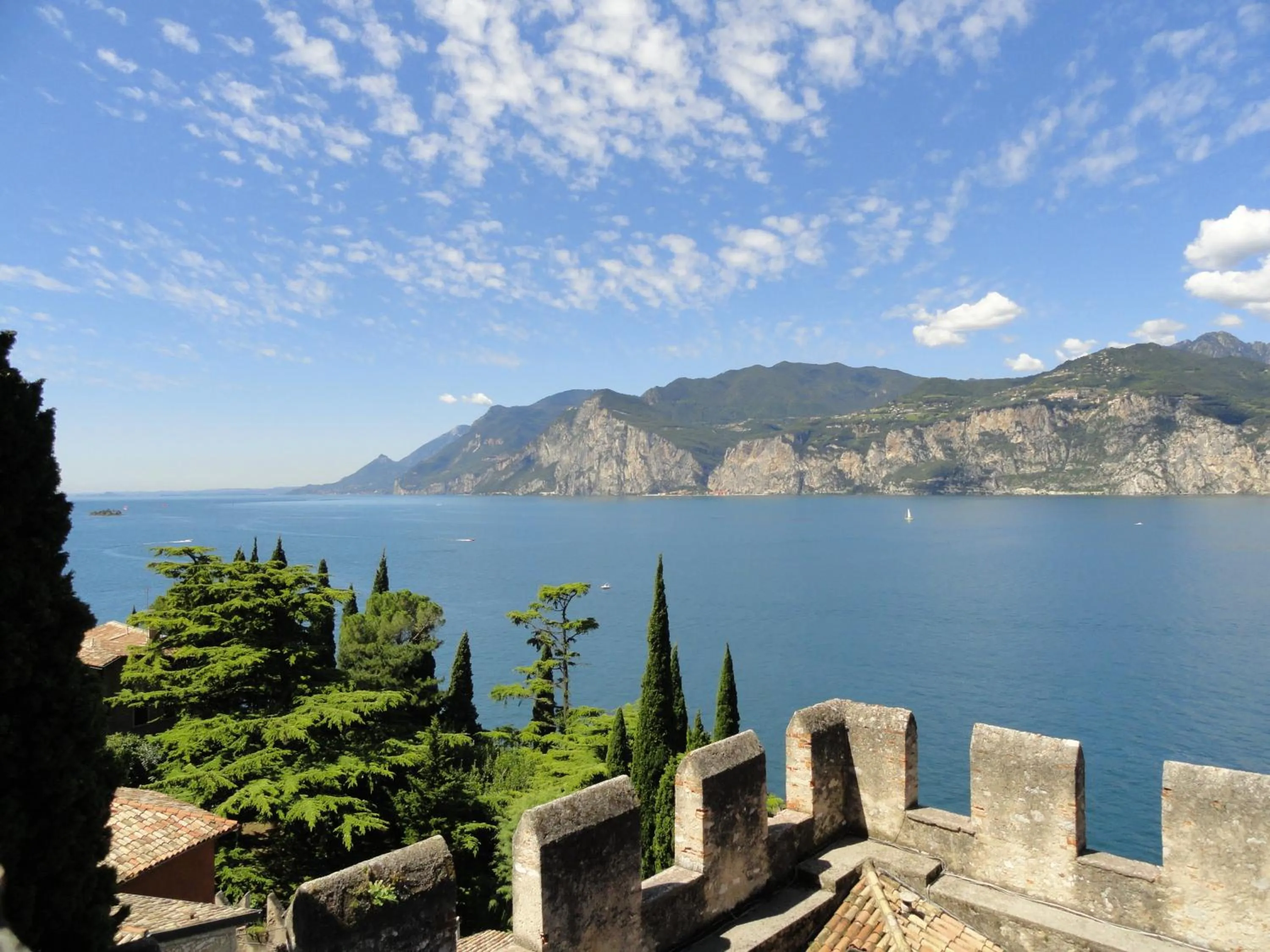 Area and facilities in Hotel Erika