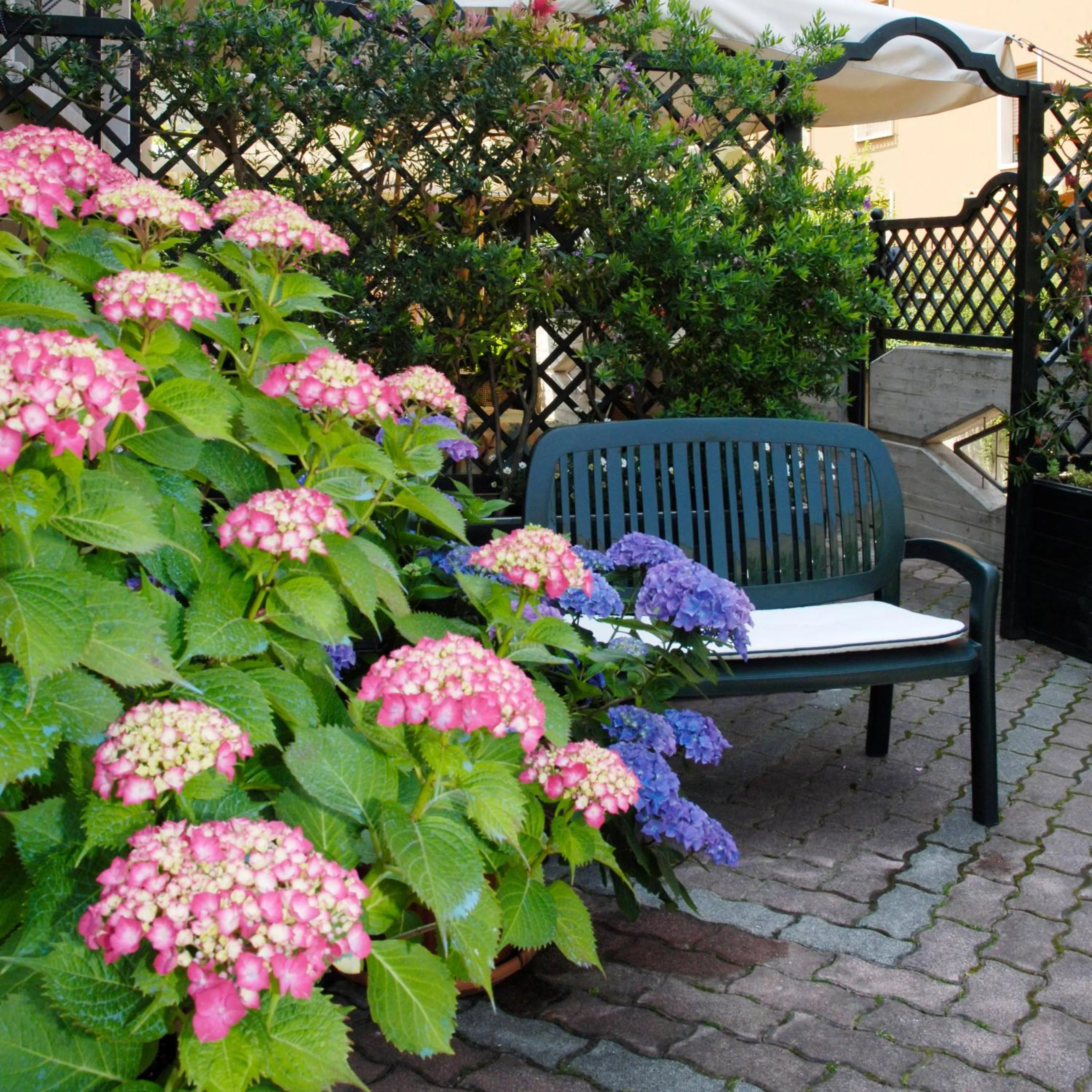 Garden in Hotel Erika