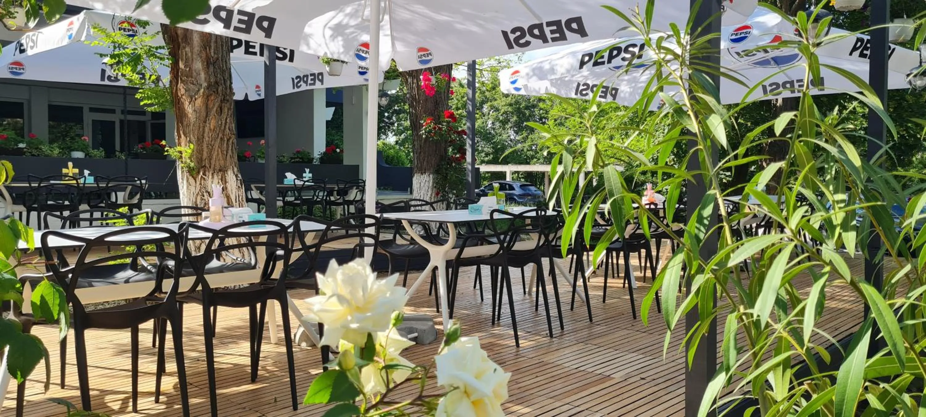 Restaurant/places to eat in Hotel Sunquest