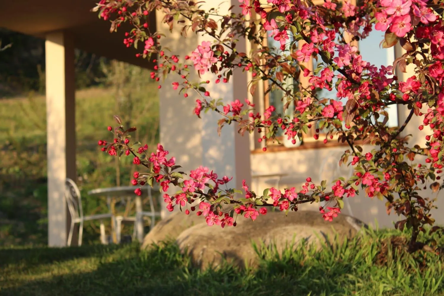 Garden in LE SETTE VIE HOLIDAY HOMES
