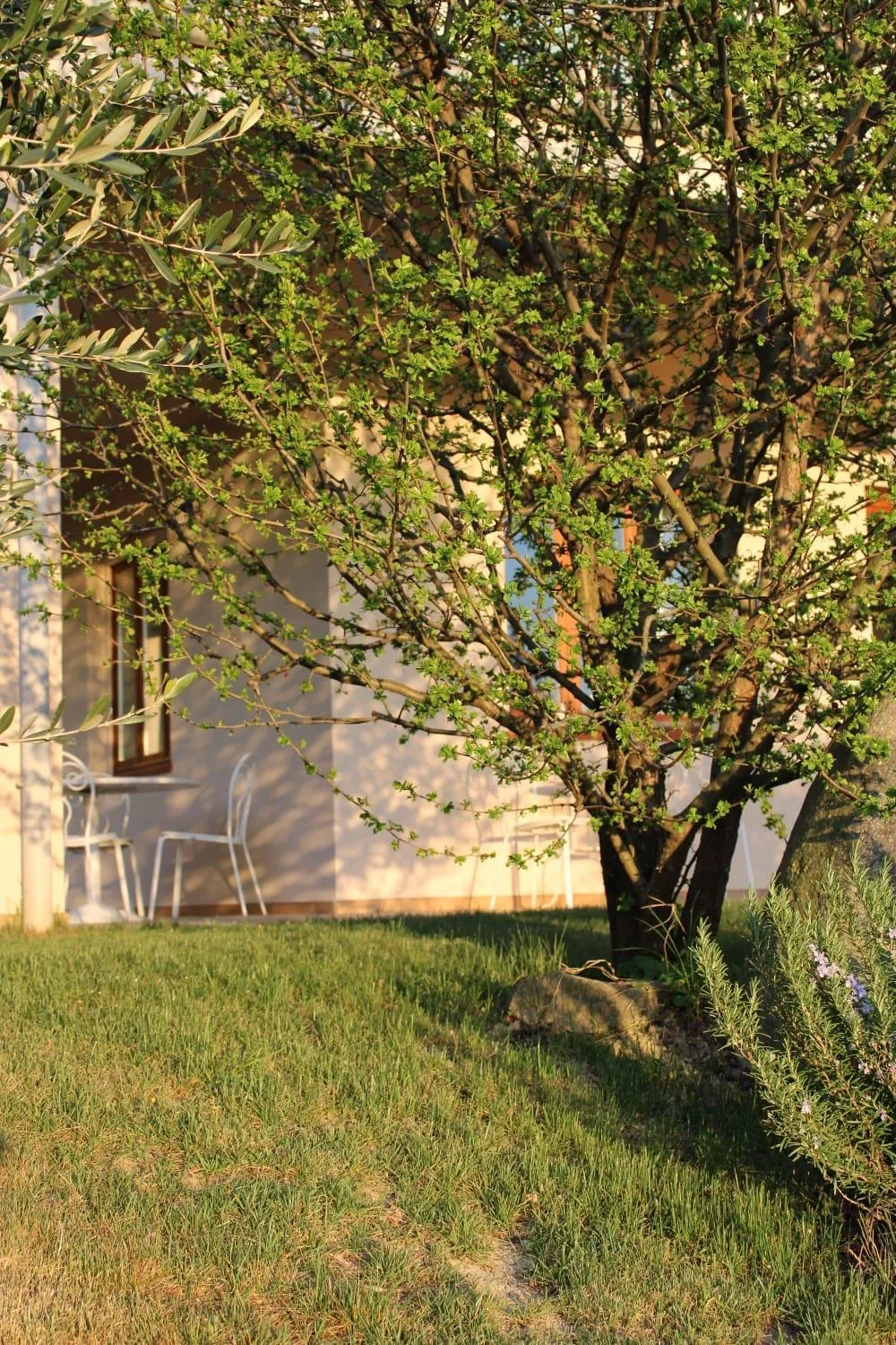 Balcony/Terrace in LE SETTE VIE HOLIDAY HOMES