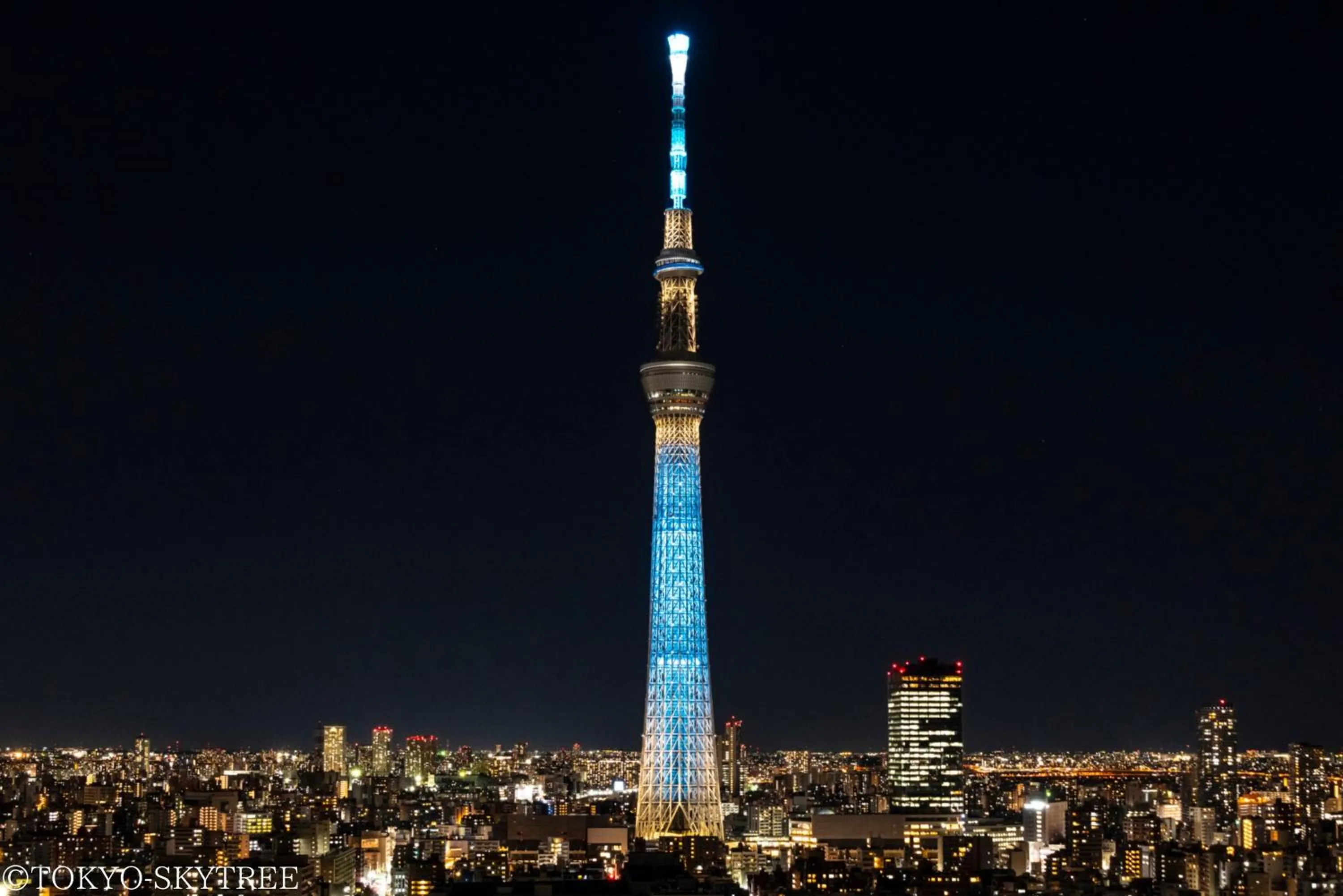 Nearby landmark in Henn na Hotel Premier Tokyo Asakusa Tawaramachi