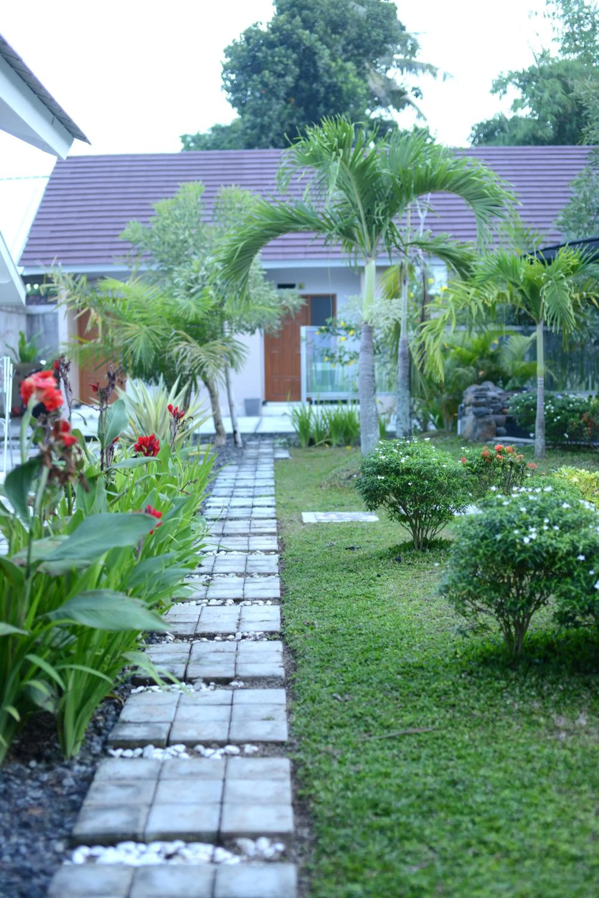 Property building in RedDoorz Syariah Plus near Banyuwangi Airport