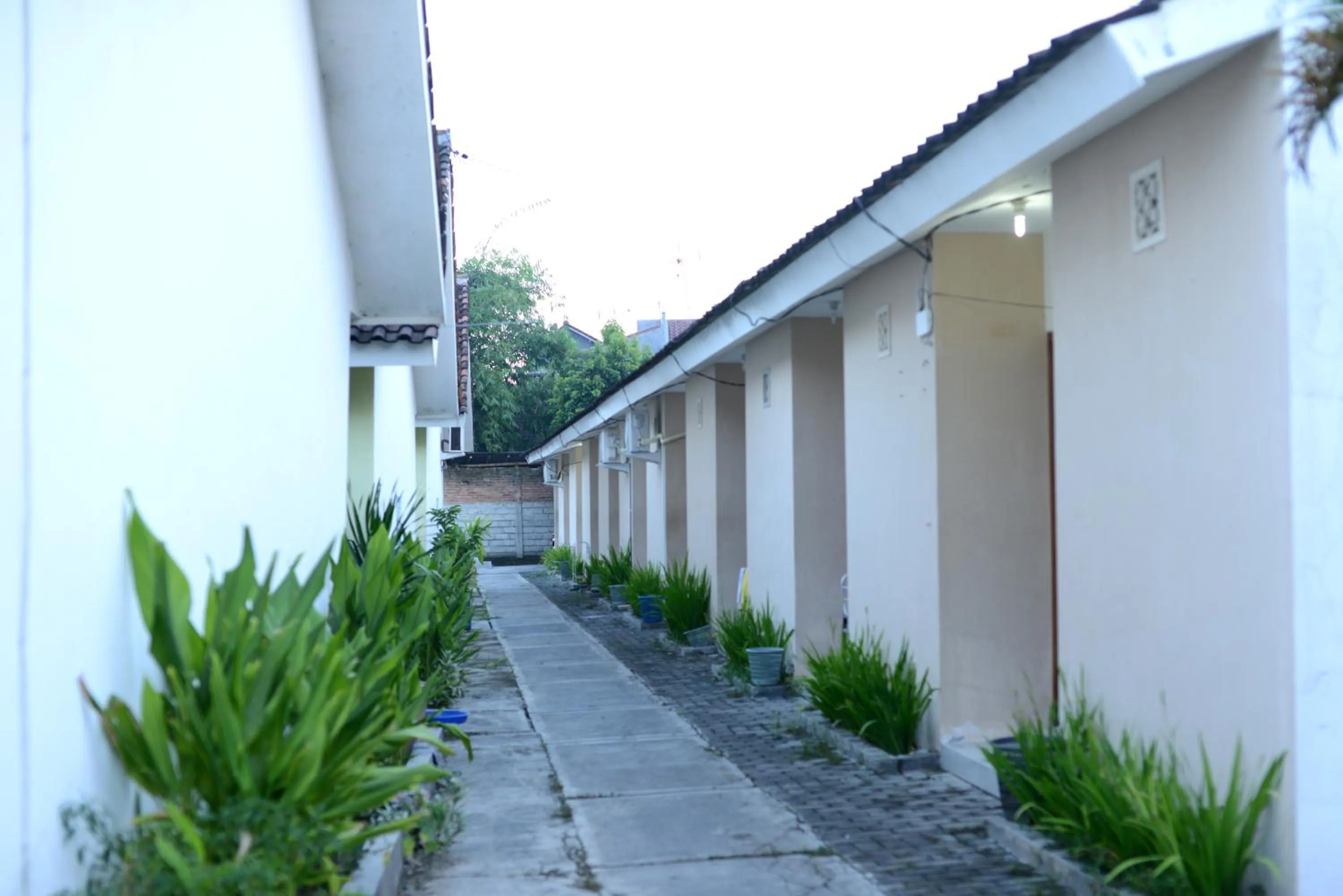 Property building in RedDoorz Syariah Plus near Banyuwangi Airport