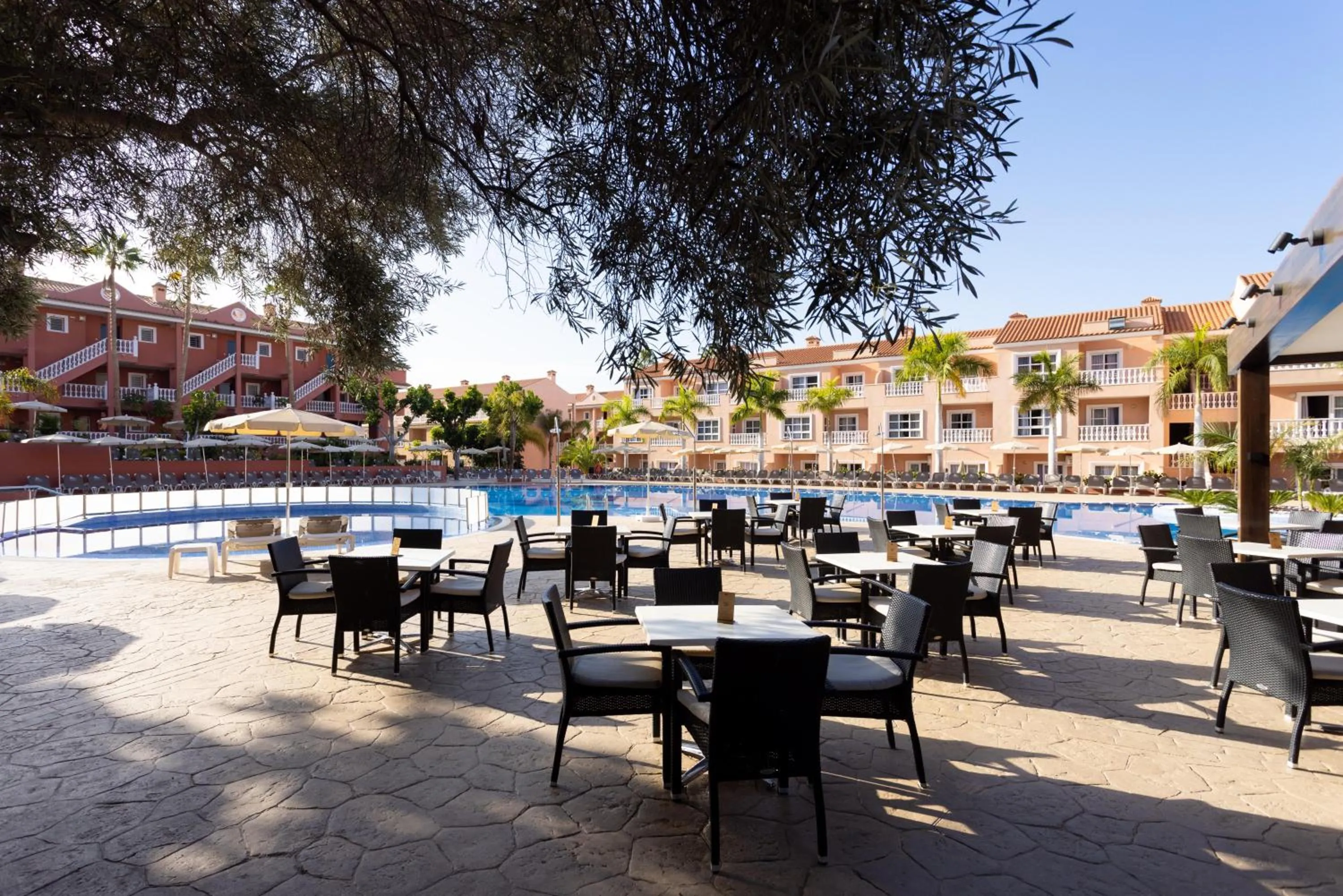 Lounge or bar in Hotel El Duque