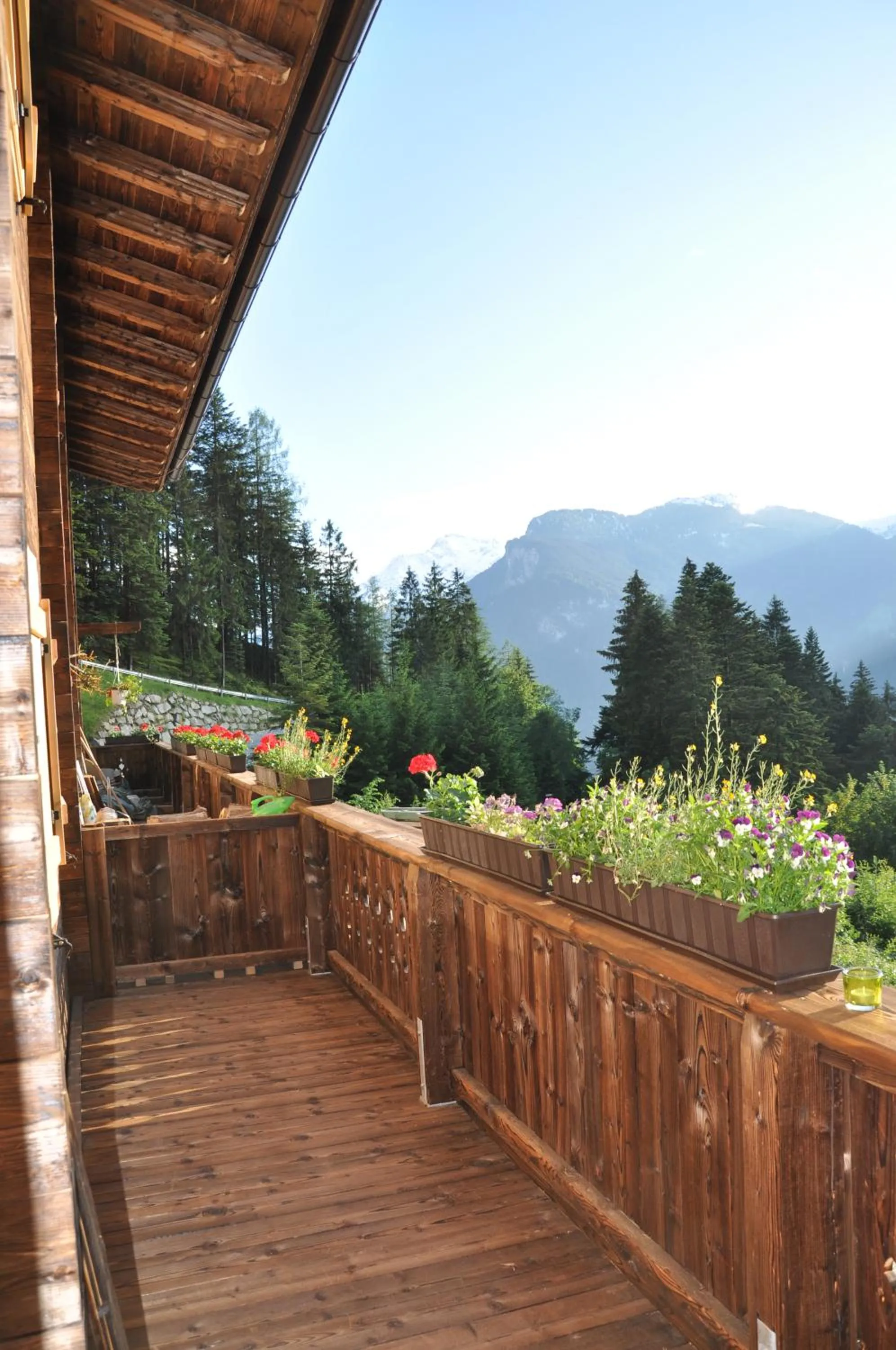 Day in Sonnenplatzl im Zillertal