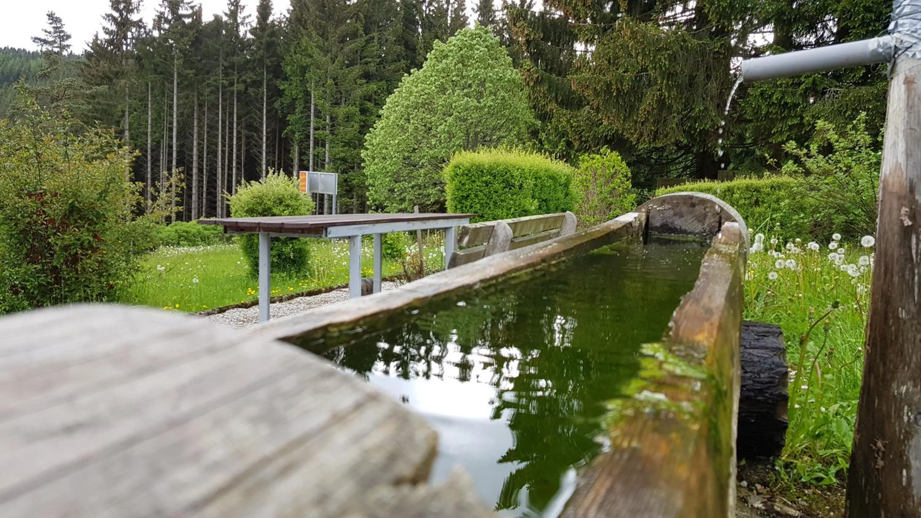 Garden in Roseggerhof