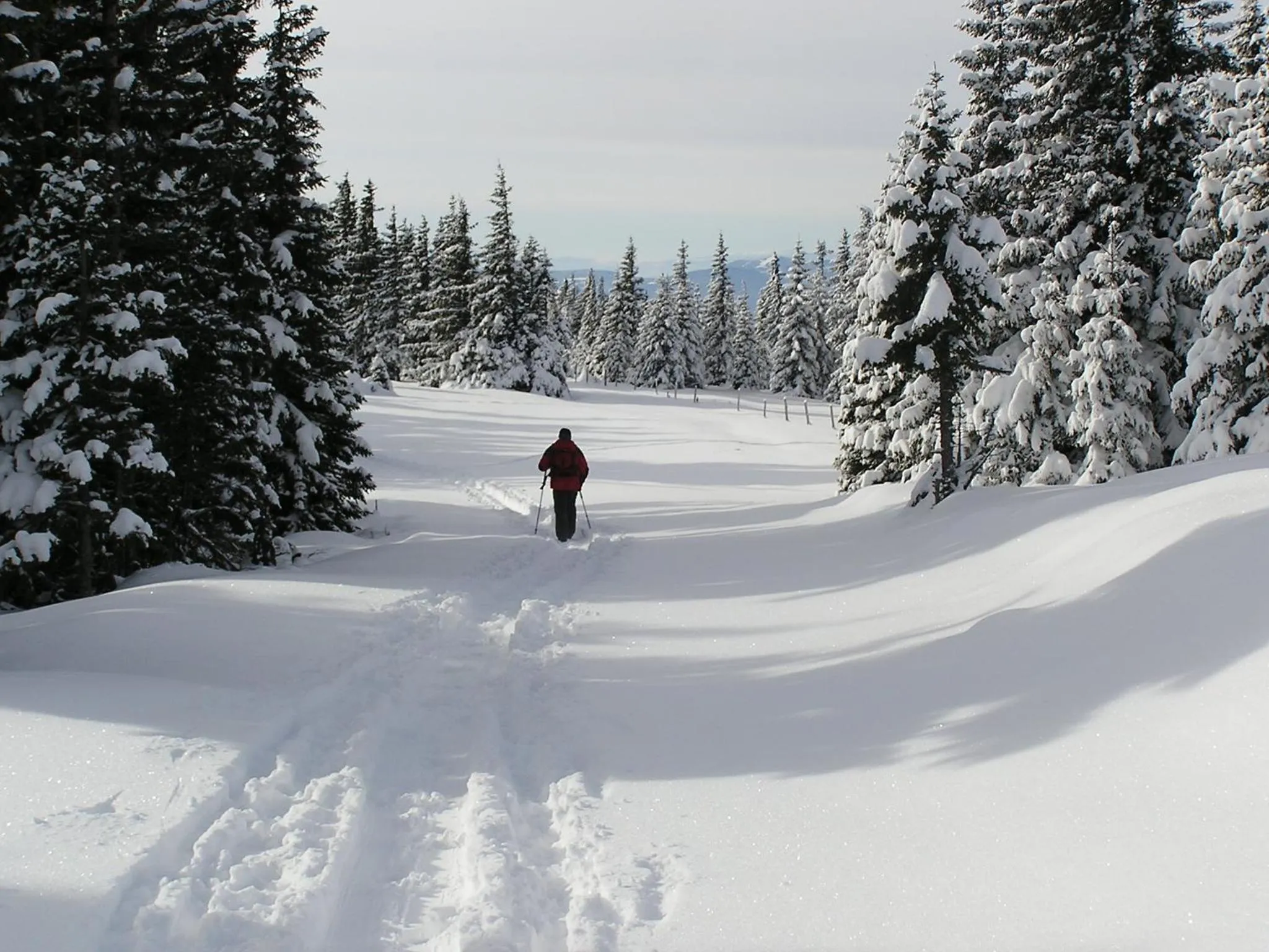 Area and facilities in Roseggerhof