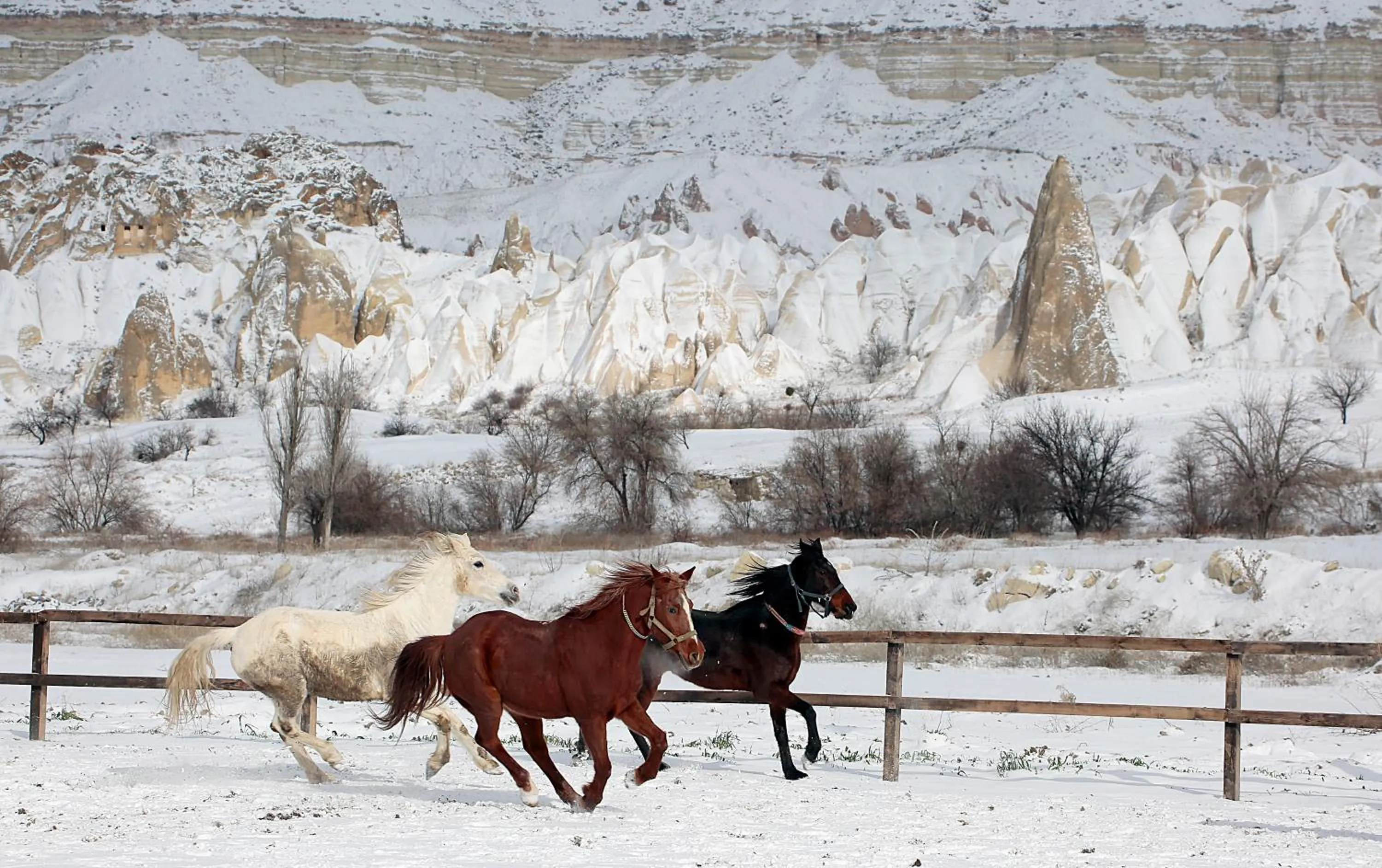Horse-riding in Kayakapi Premium Caves Cappadocia