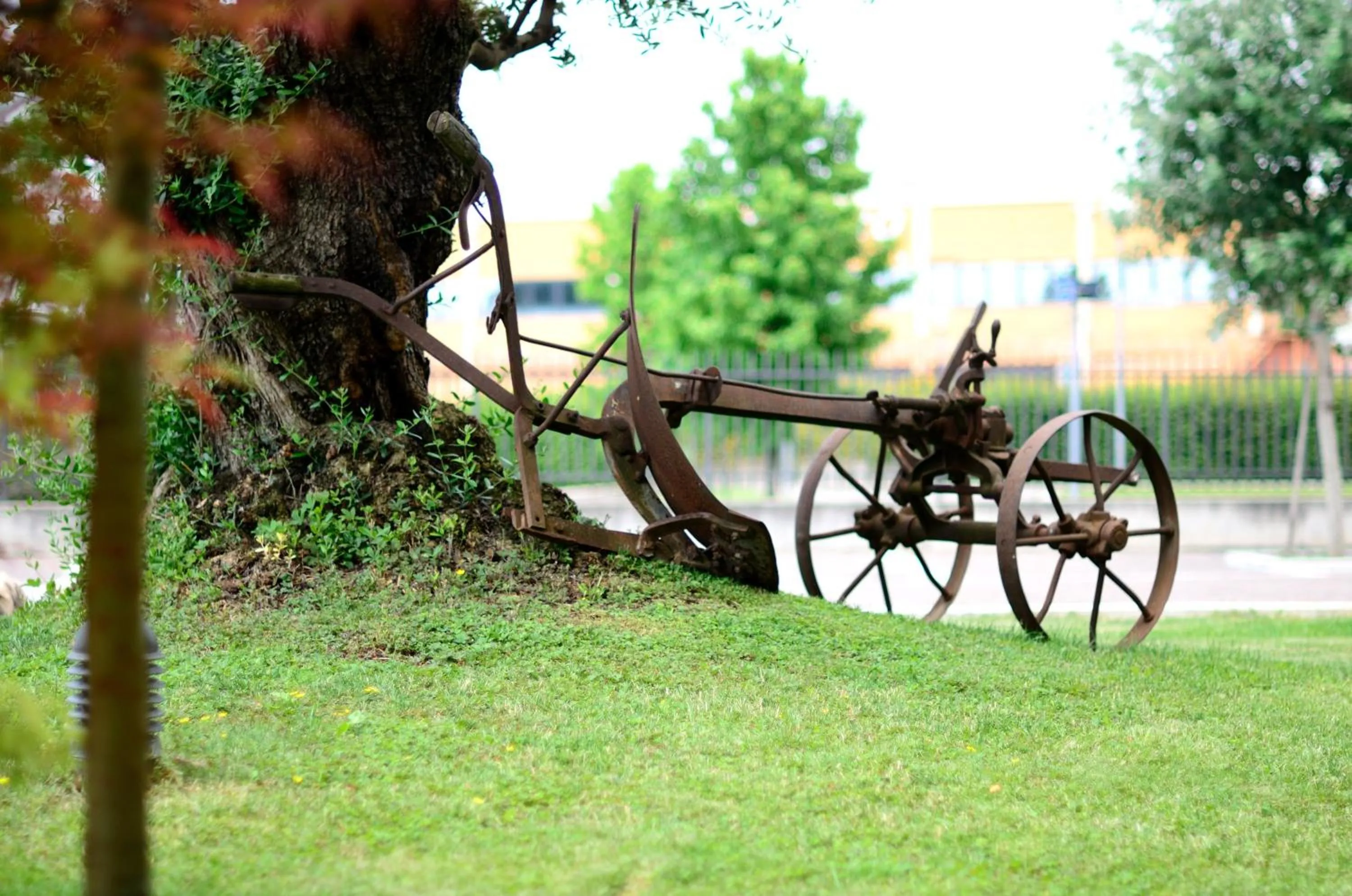 Garden in Hotel Da Franco