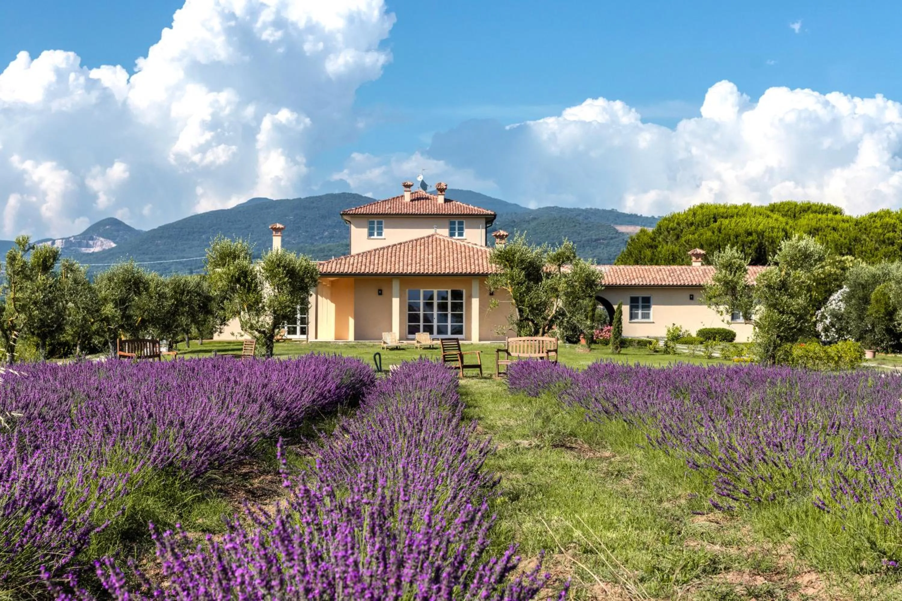 Garden in Agriturismo Villa Toscana