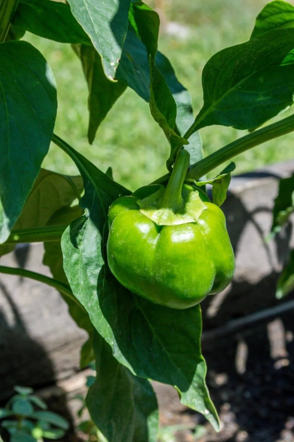 The Resort at Marble Hill